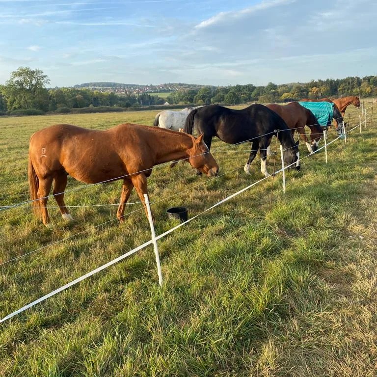 Ustájení koní - U jezera foto 1