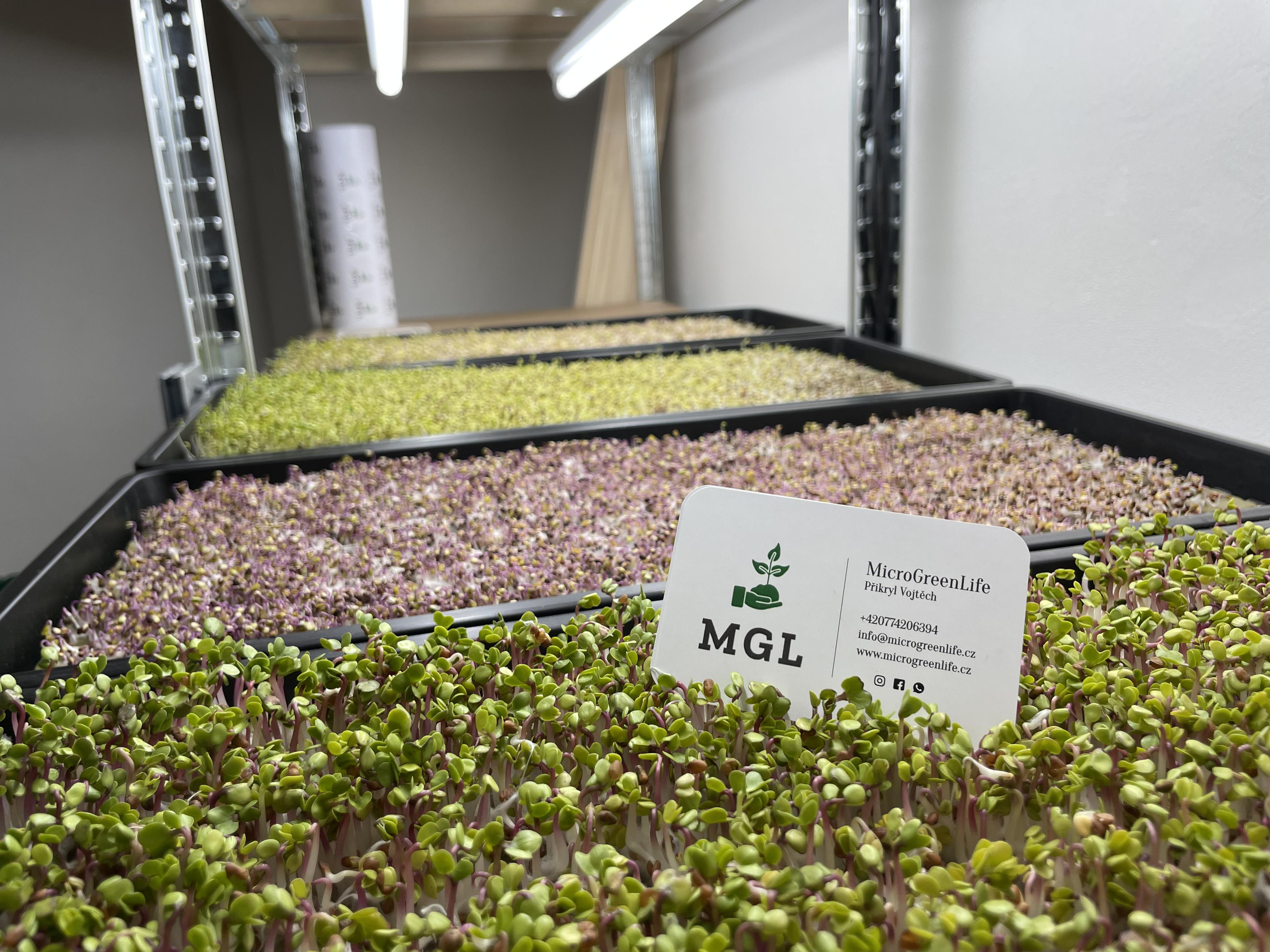 Microgreenlife.cz foto 5
