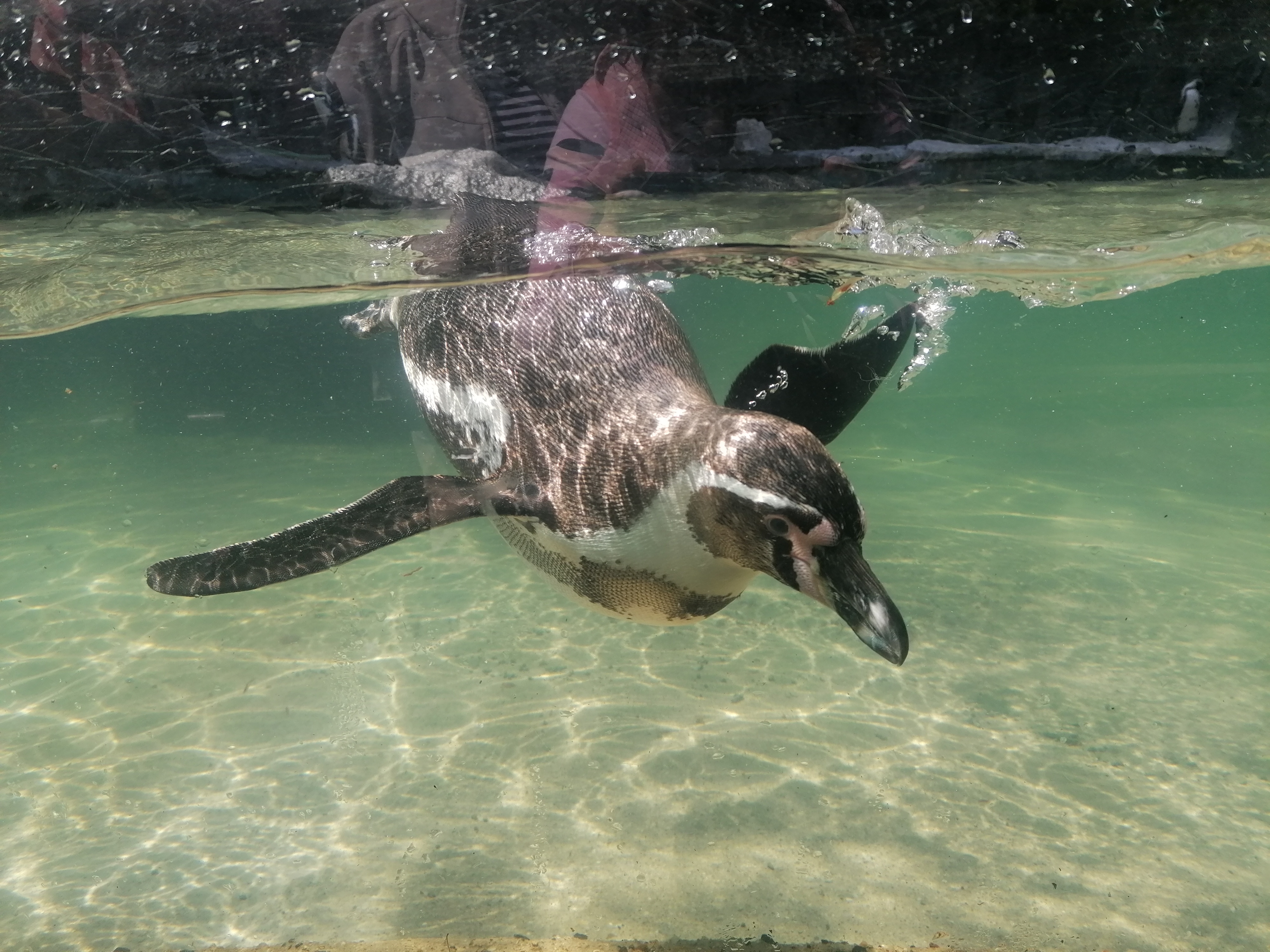 Zoo Liberec foto 5