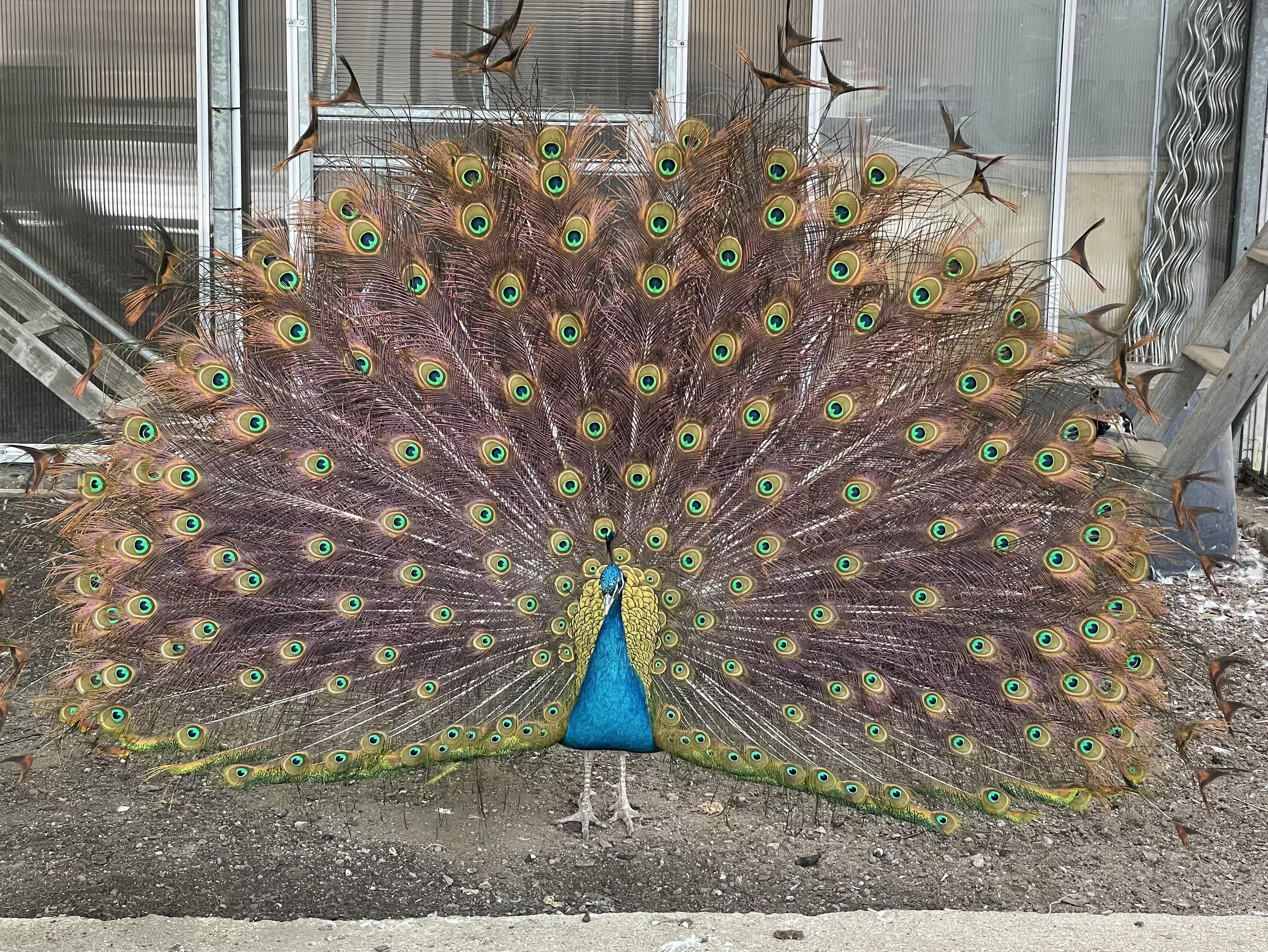 Dětská skupina Pohádka foto 5