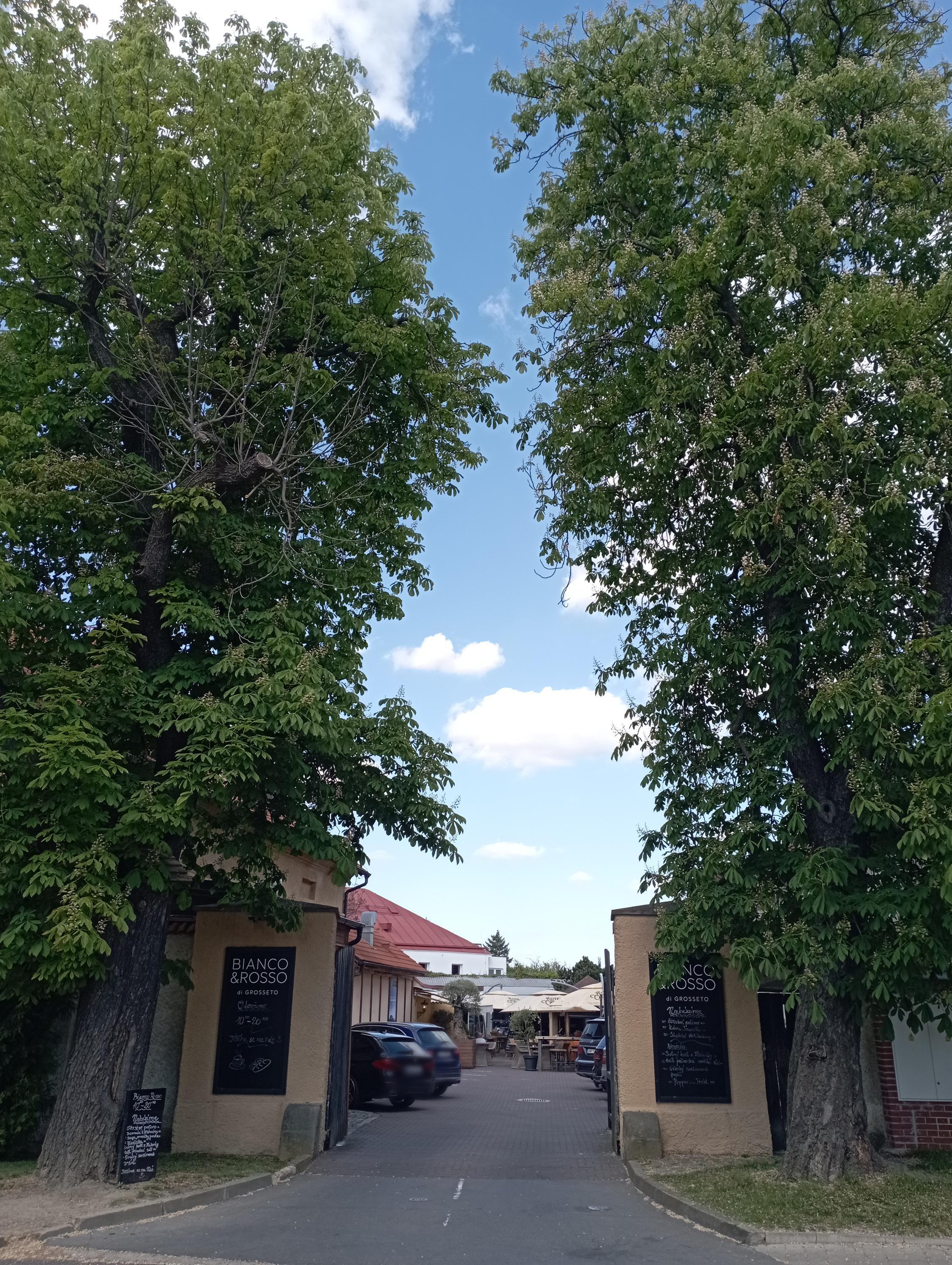 Grosseto Průhonice foto 4