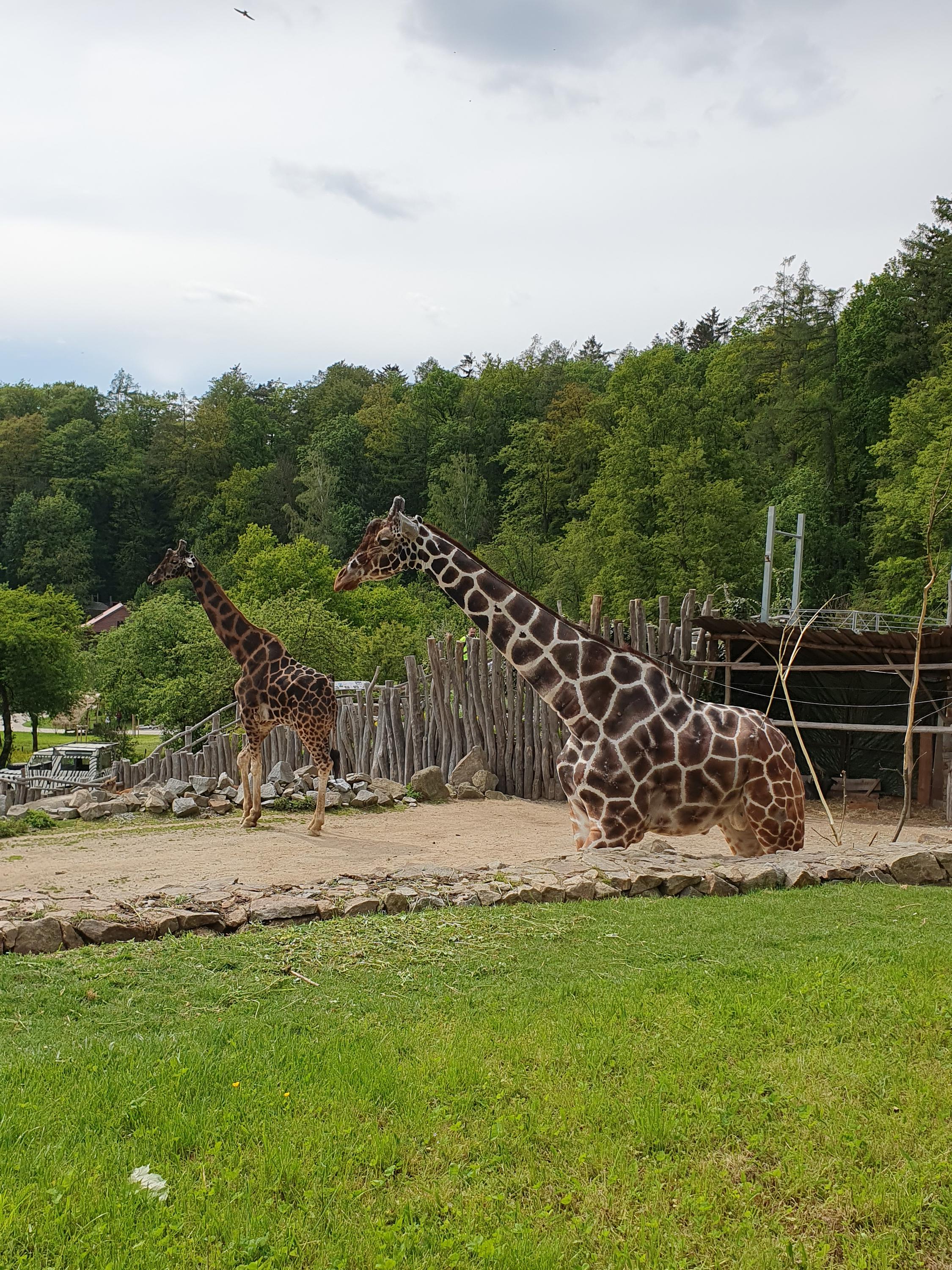 Zoo Jihlava foto 6