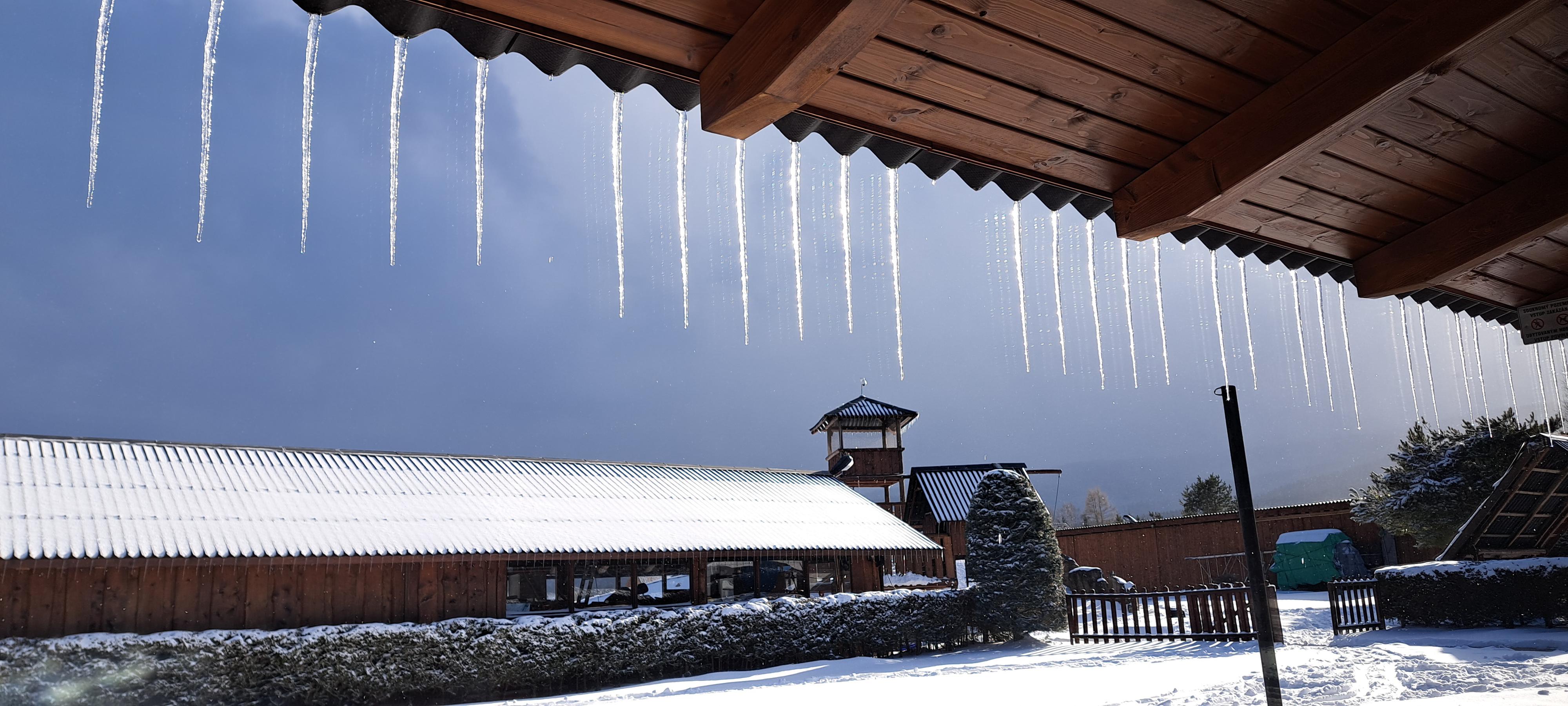 Penzion u Cvrčků foto 6