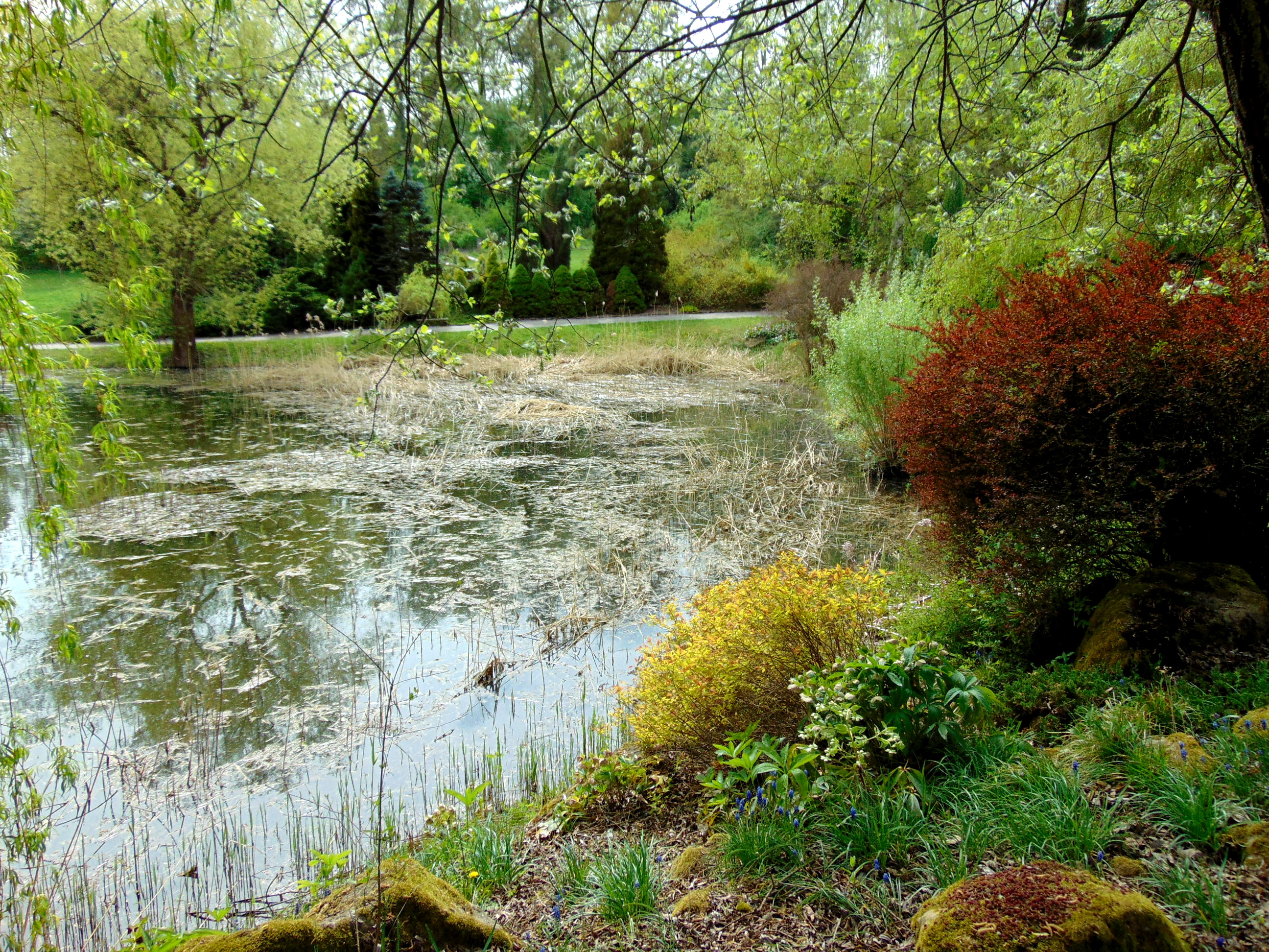 Arboretum - František Chlup foto 4