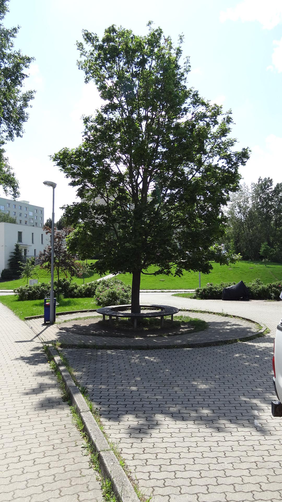 Domov pro seniory Podpěrova foto 6