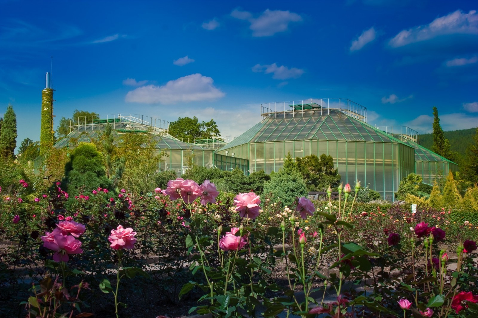 Botanická zahrada Liberec foto 4