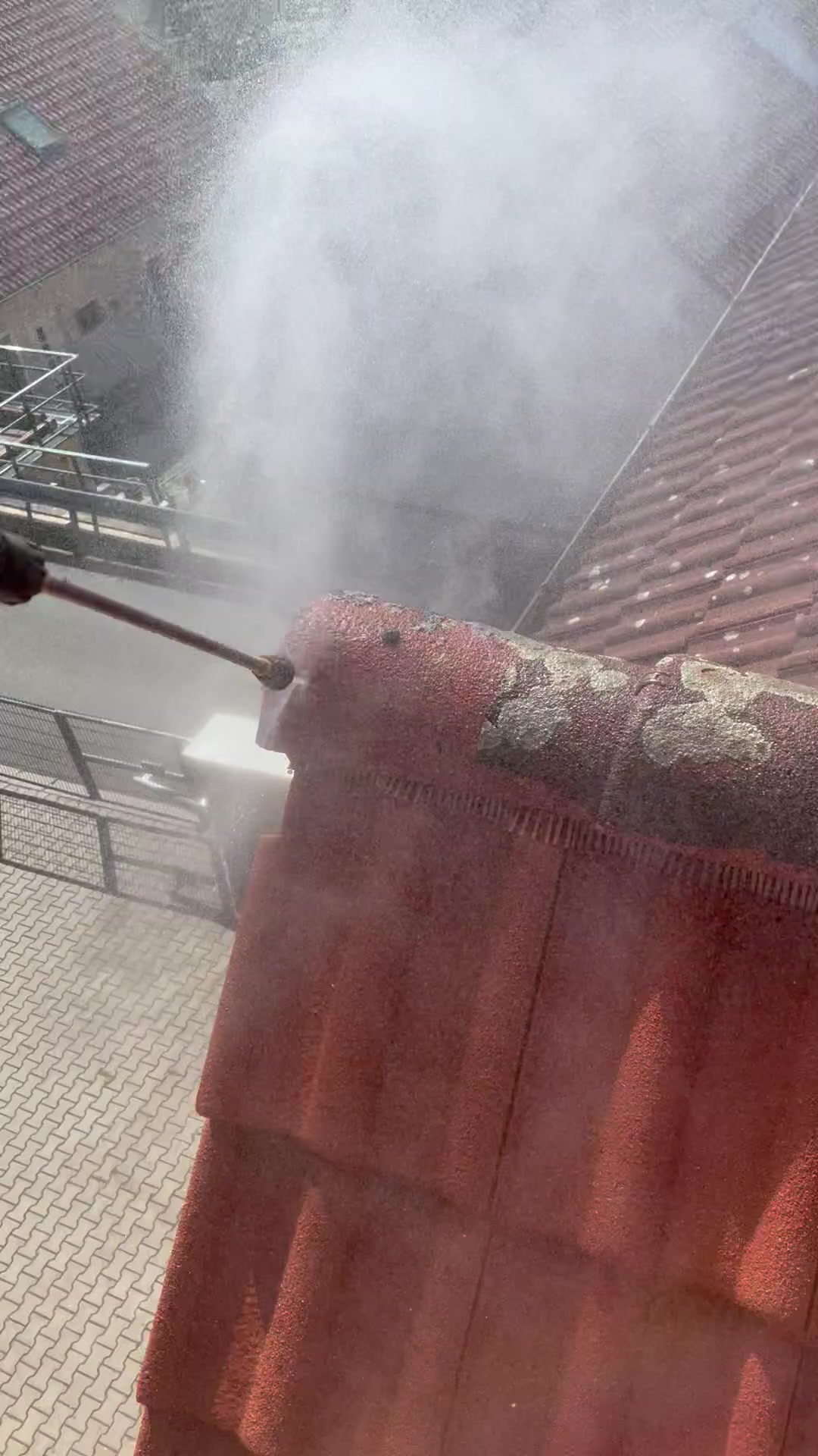 Královské Čištění foto 2 (náhled videa)