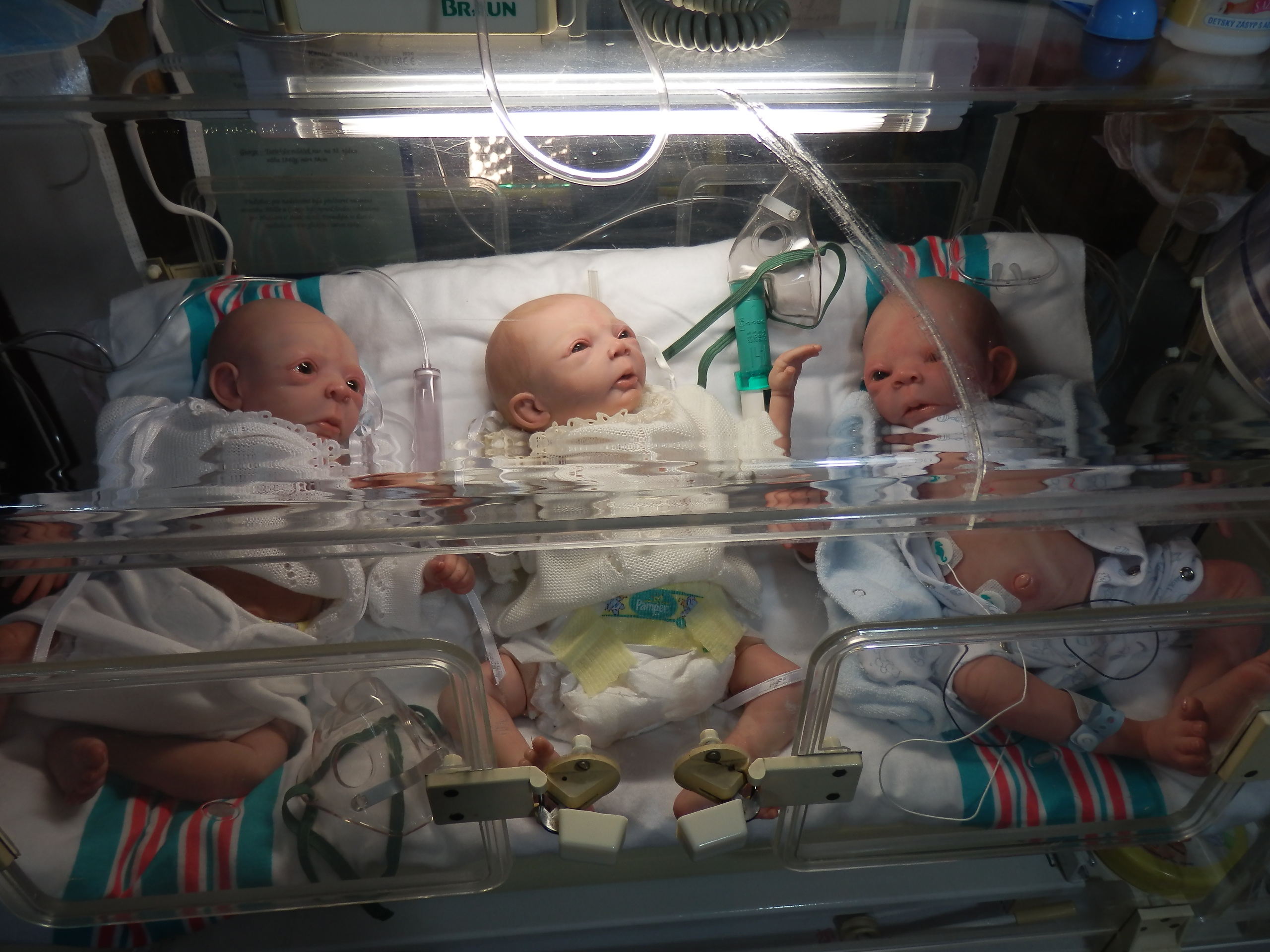 Muzeum panenek a medvídků pod Troskami foto 4