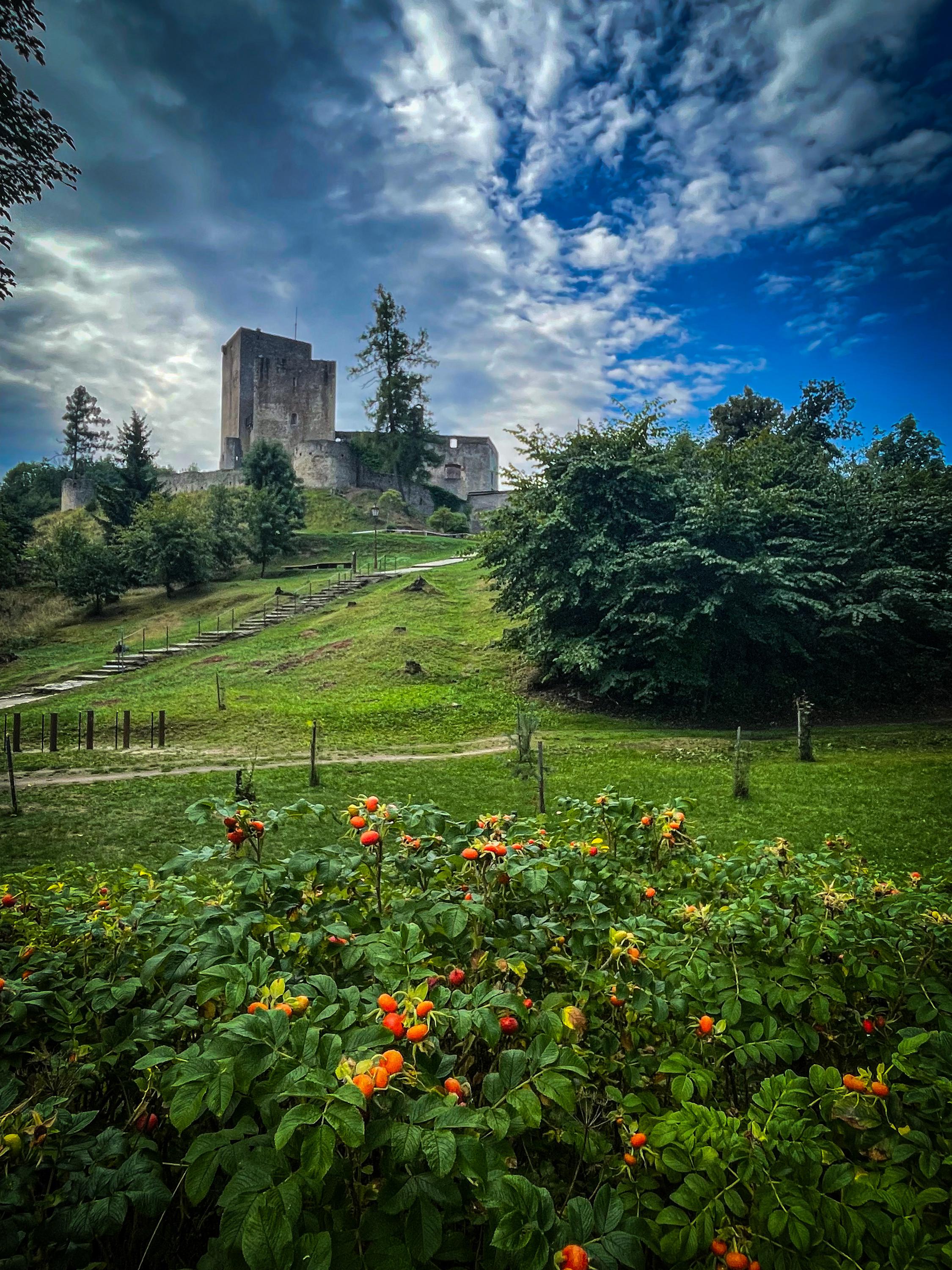 Státní hrad Landštejn foto 3
