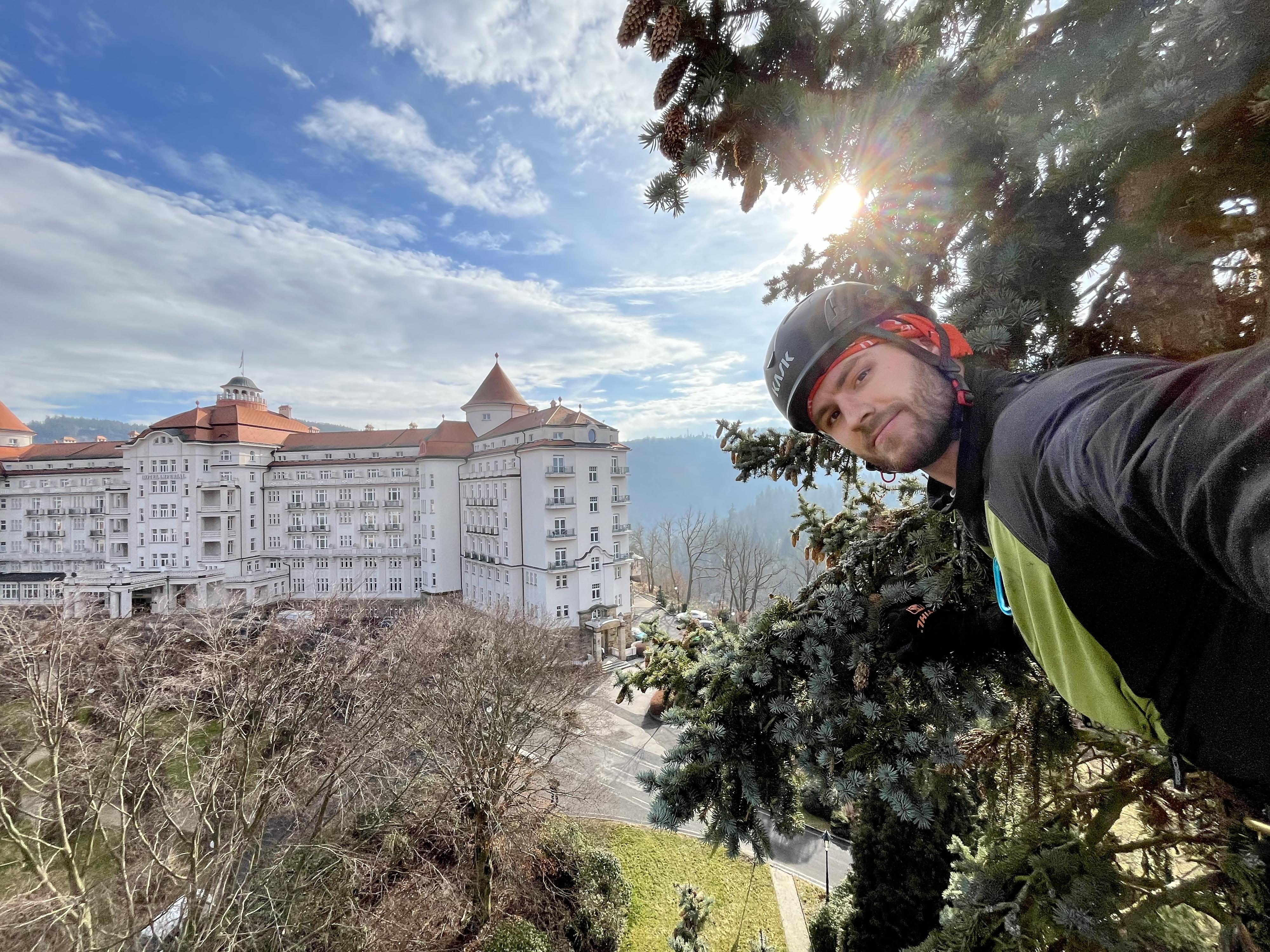 Arboristika a dendrologie Ing. Marek Cvach foto 6