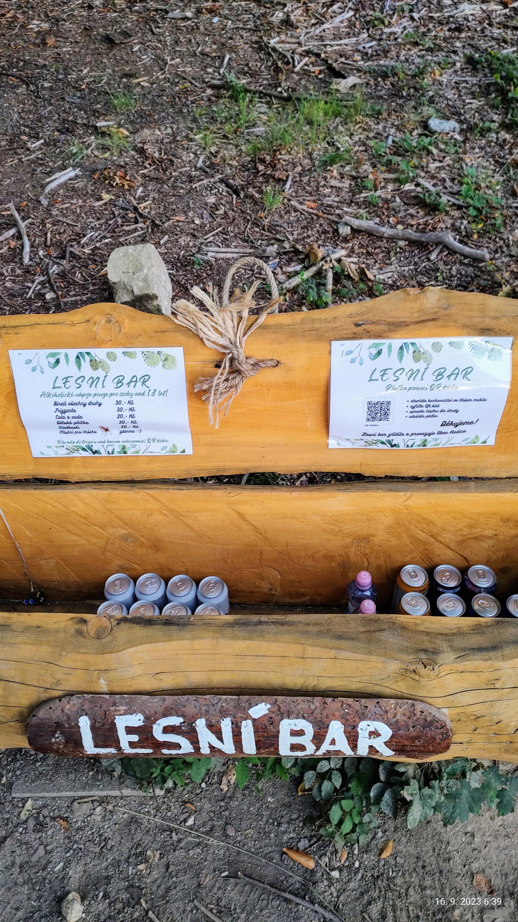 Lesní bar Pod Kratiznou