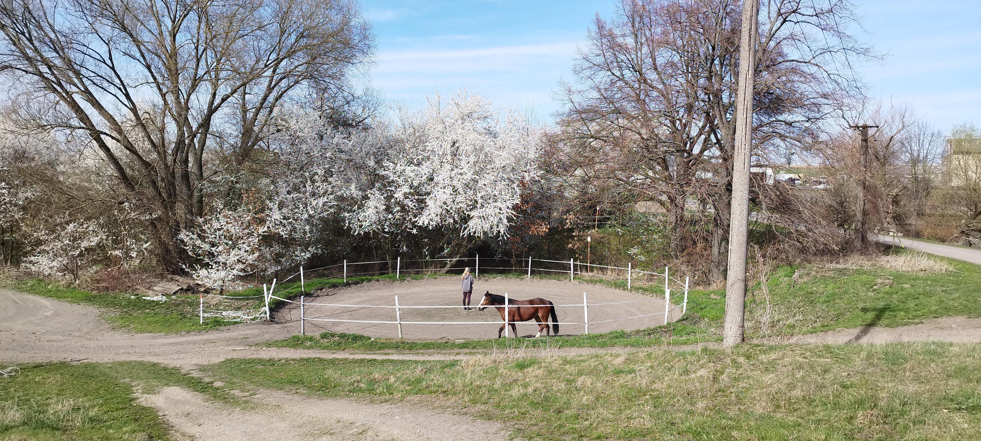 Jezdecký klub Výzkumného ústavu živočišné výroby Uhříněves foto 6