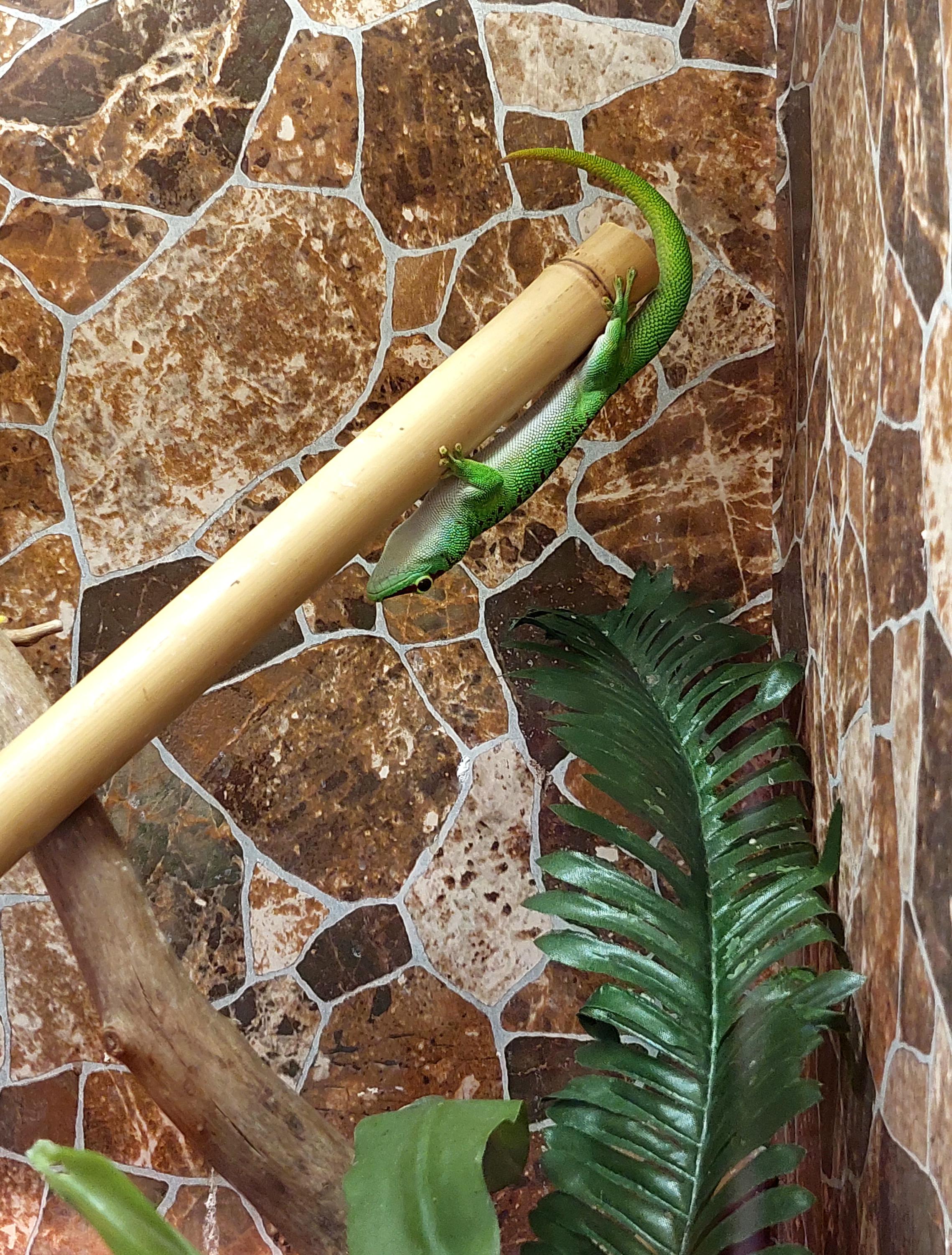 Mini Zoo Štramberk Aqua Terra foto 3