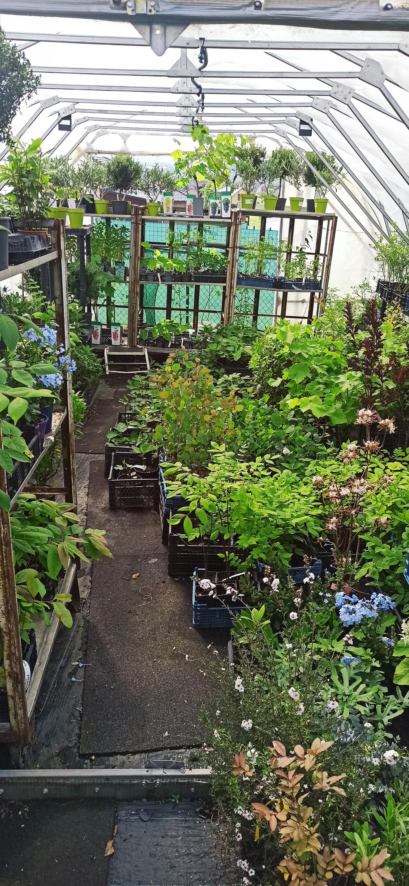 Mgr. Jan Rajčok foto 4