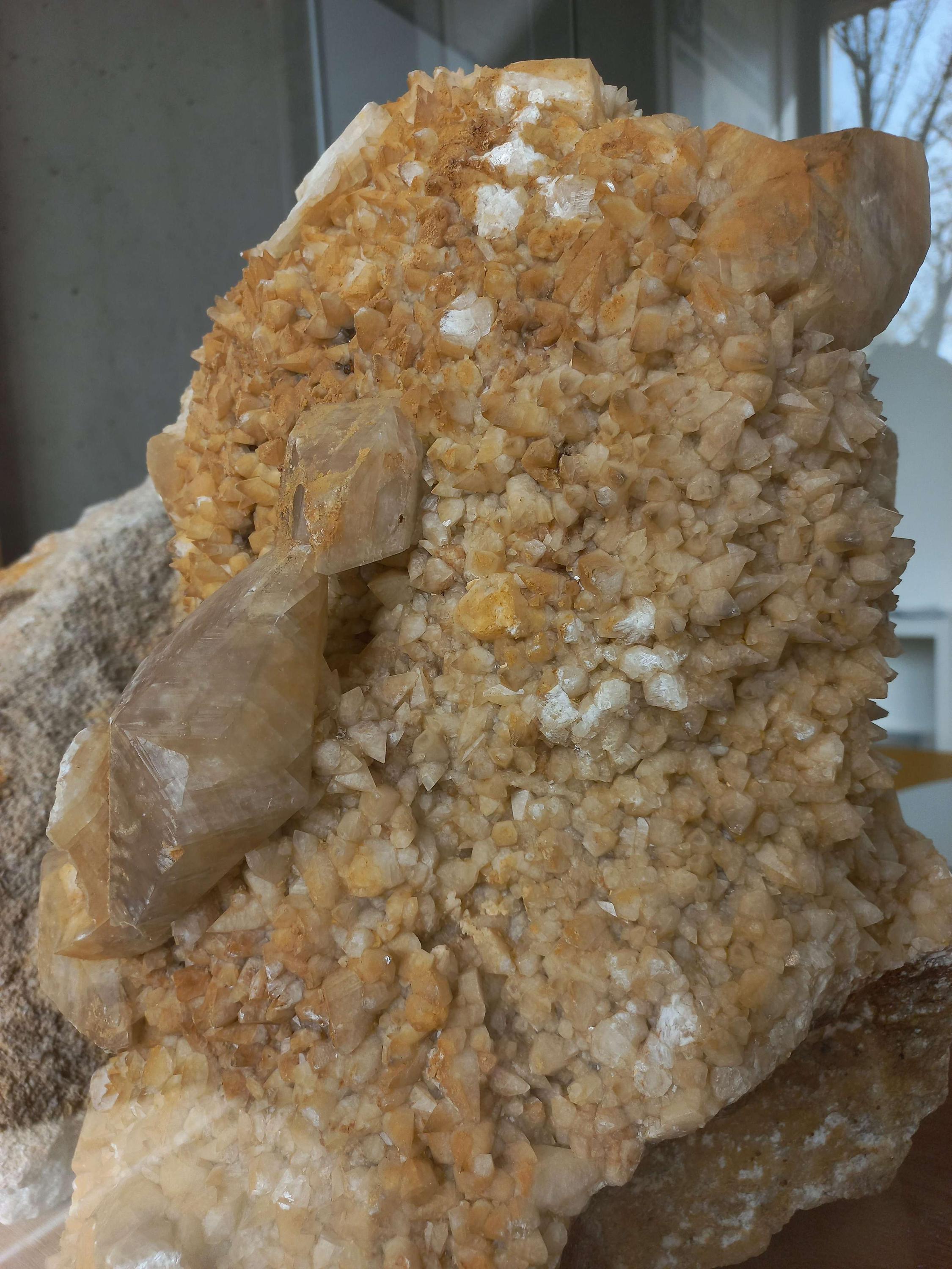 Dům přírody Českého krasu foto 6