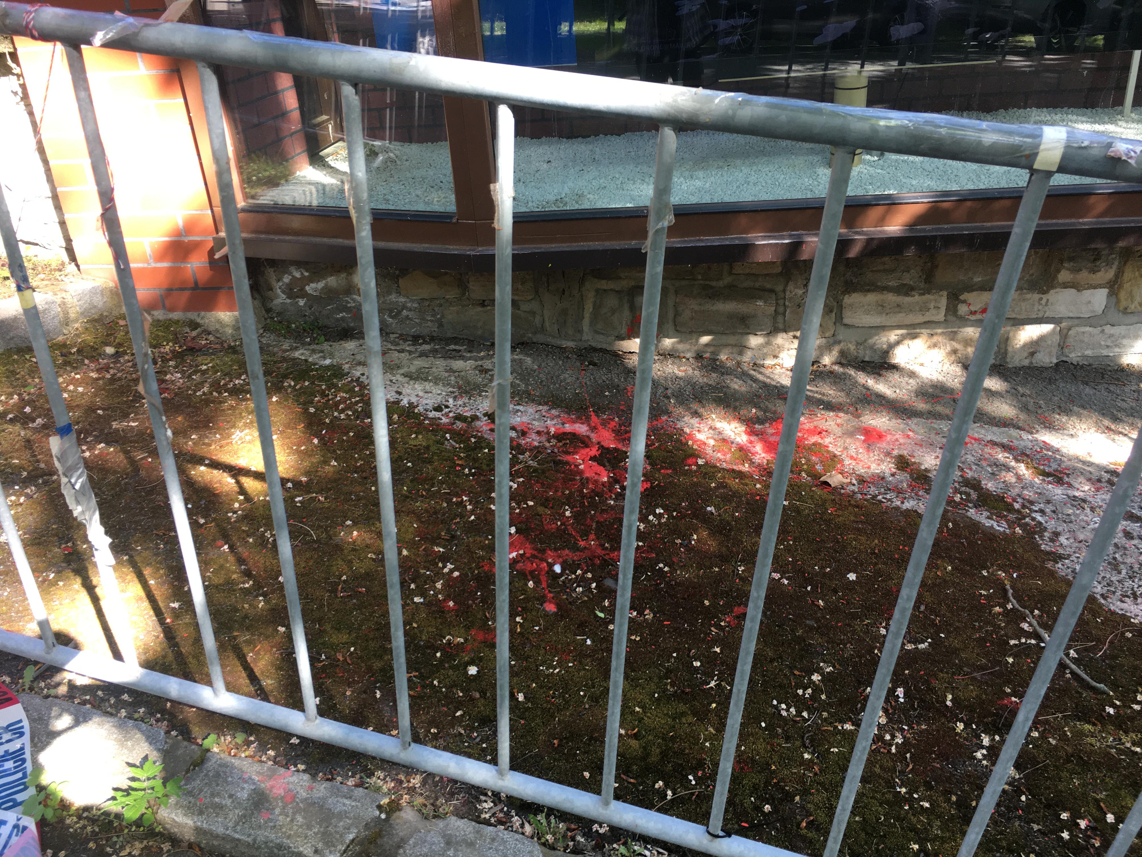 Velvyslanectví Ruské federace v České republice foto 5