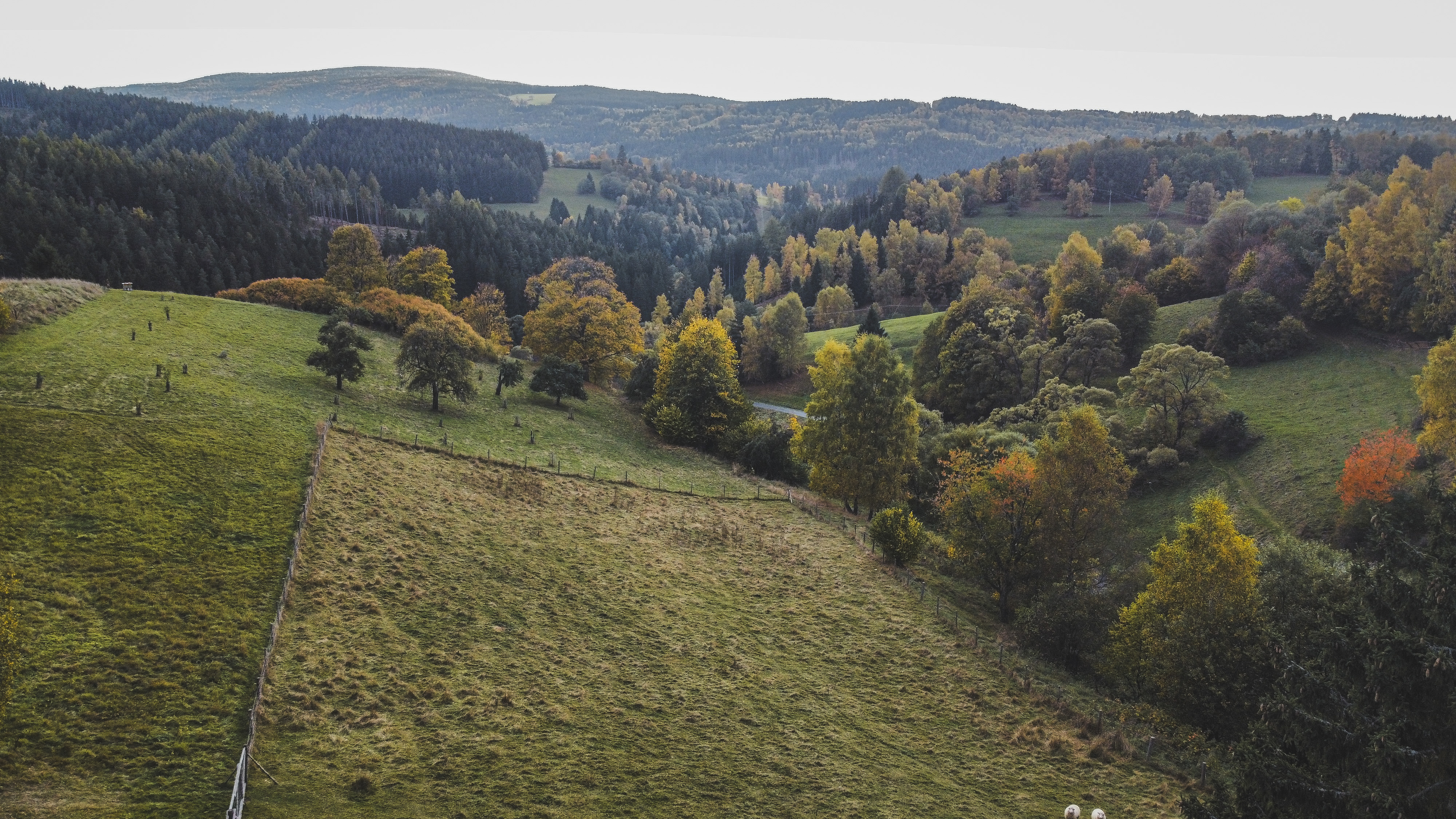 Apartmán Zázračná zahrádka foto 2