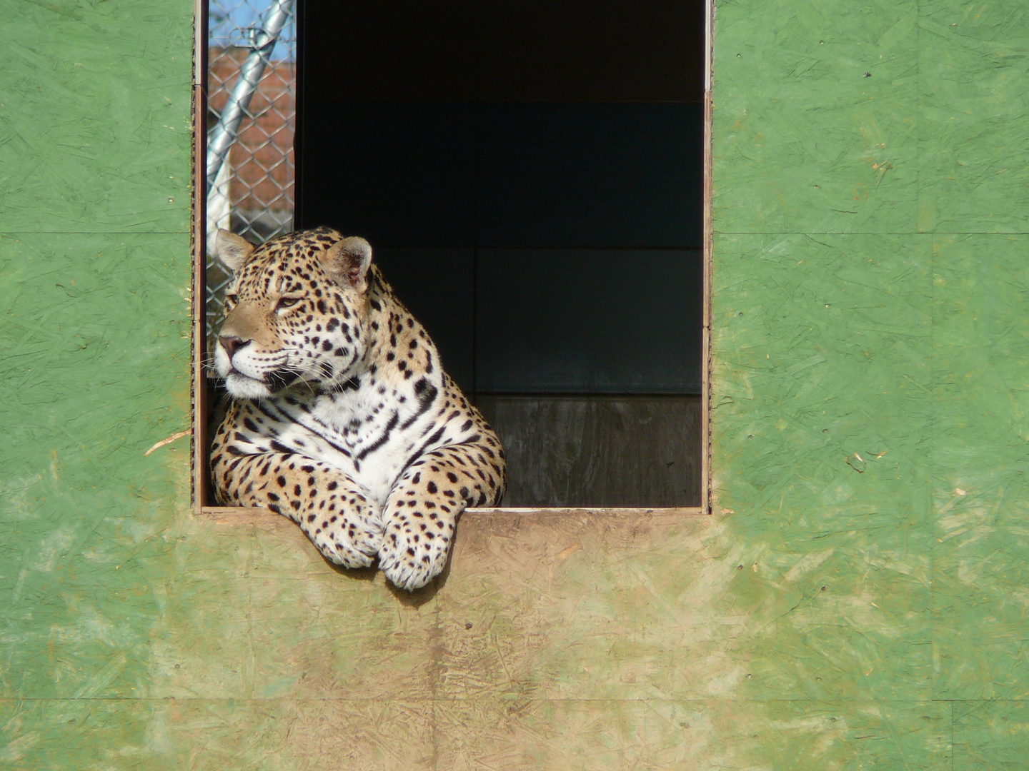 ZOO Tábor foto 3