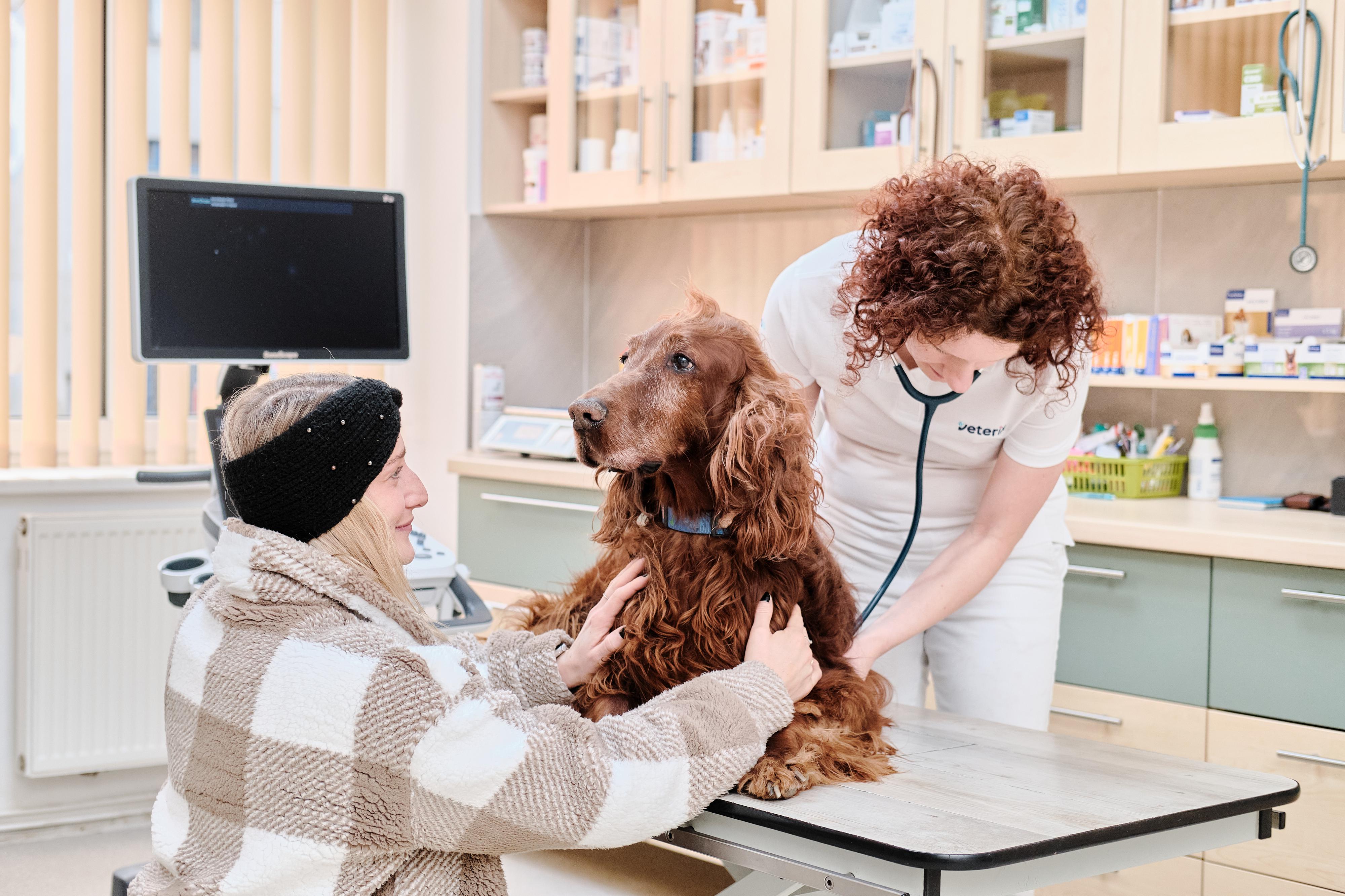 Veterinární klinika VETERIX foto 2