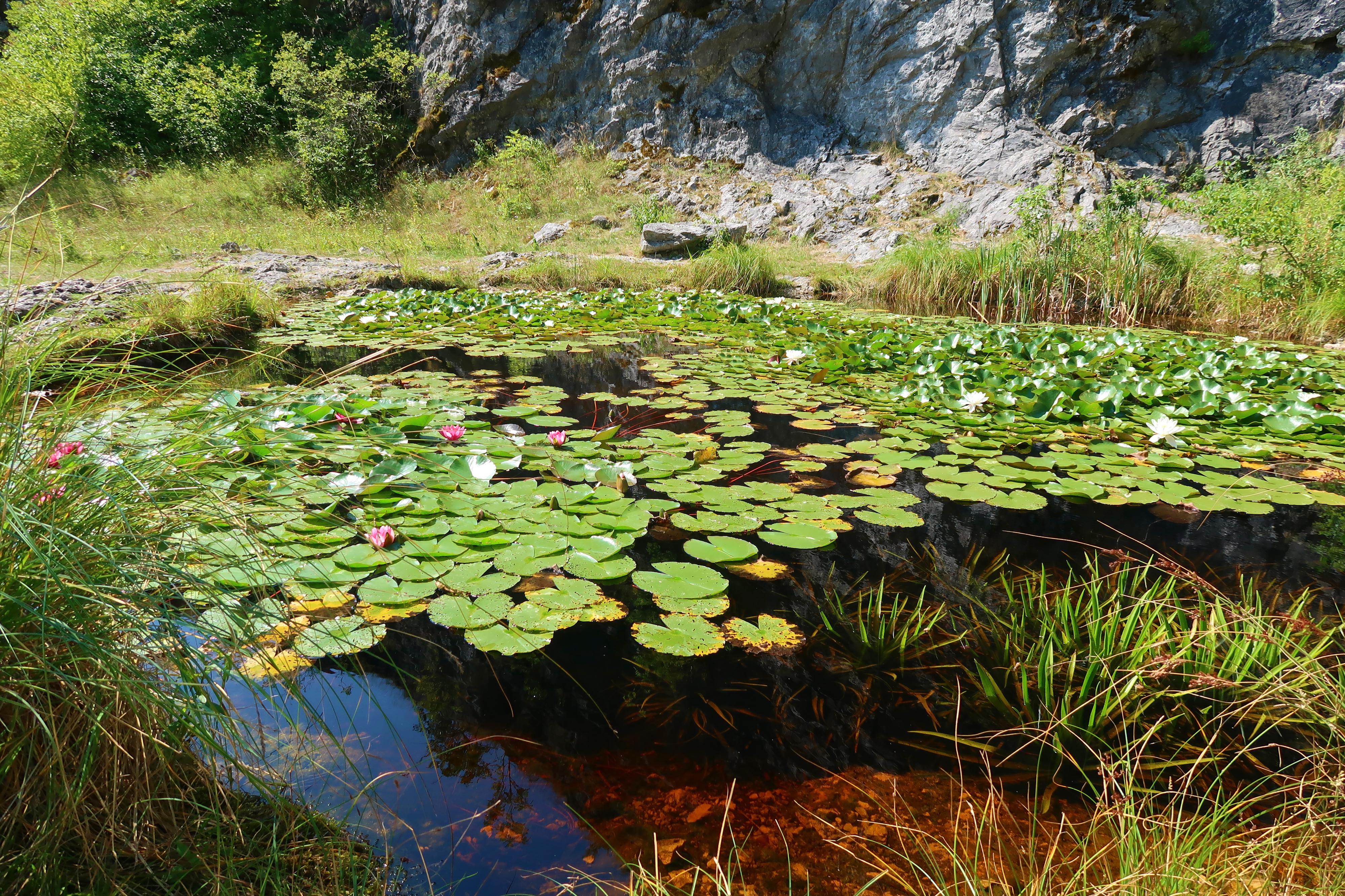 Botanická zahrada Štramberk foto 6