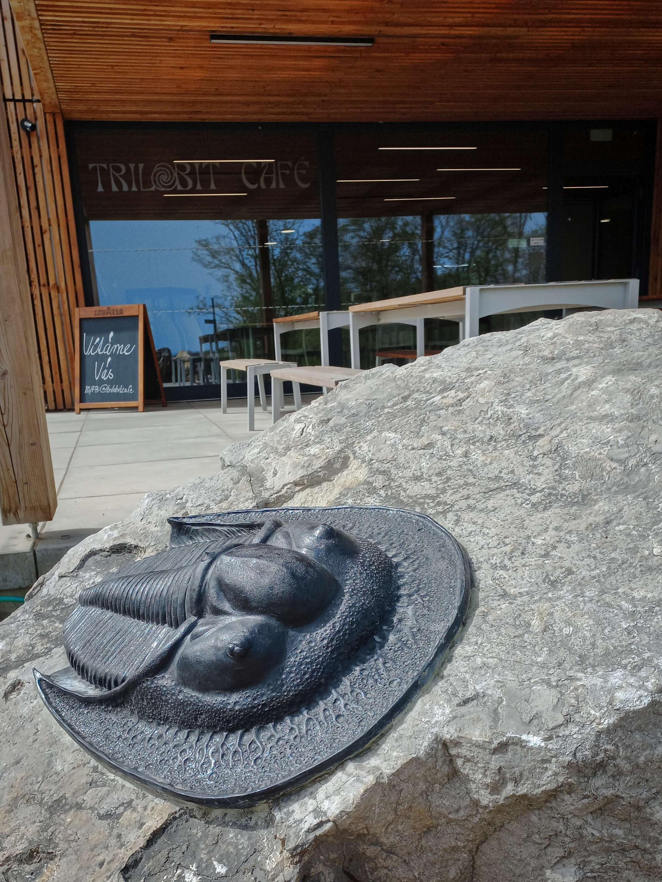 Trilobit cafe foto 6