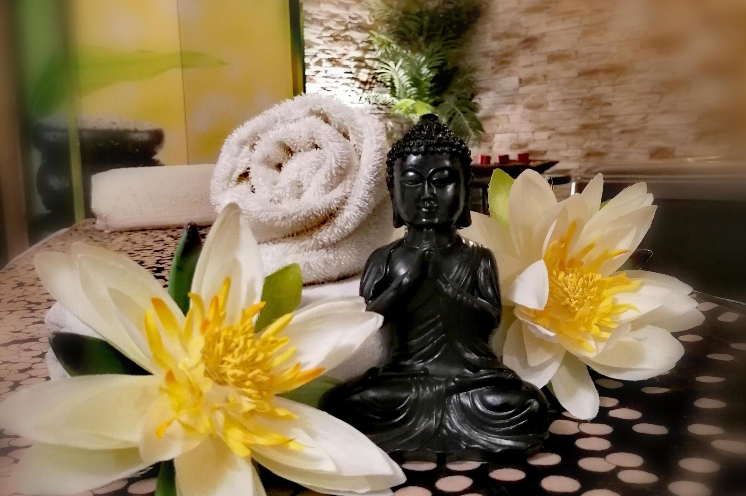 Masáže Terapie LOMI