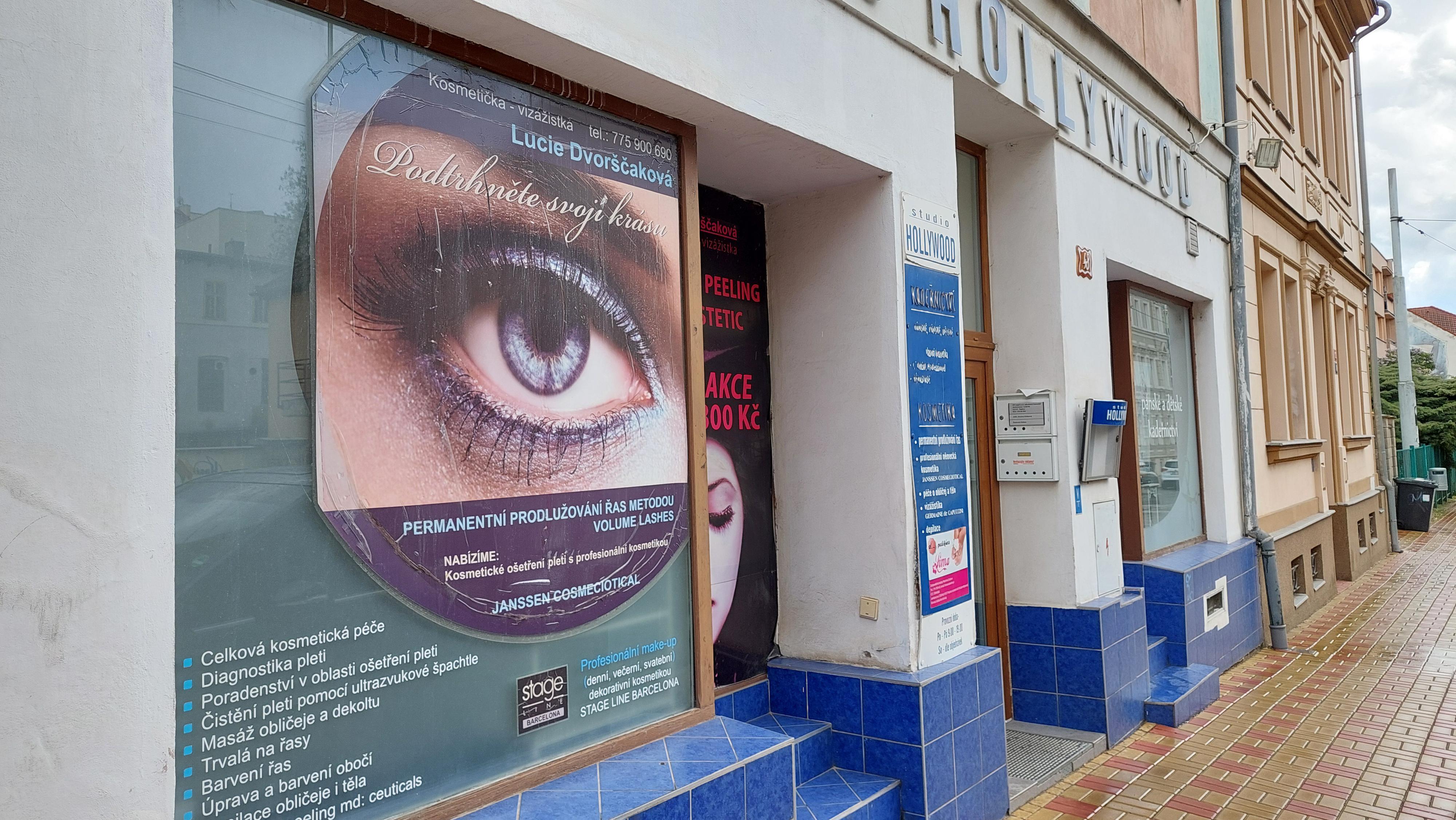 Vladimíra Plzáková Jakešová