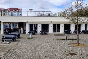 Company graphic Our Story beer & ribs