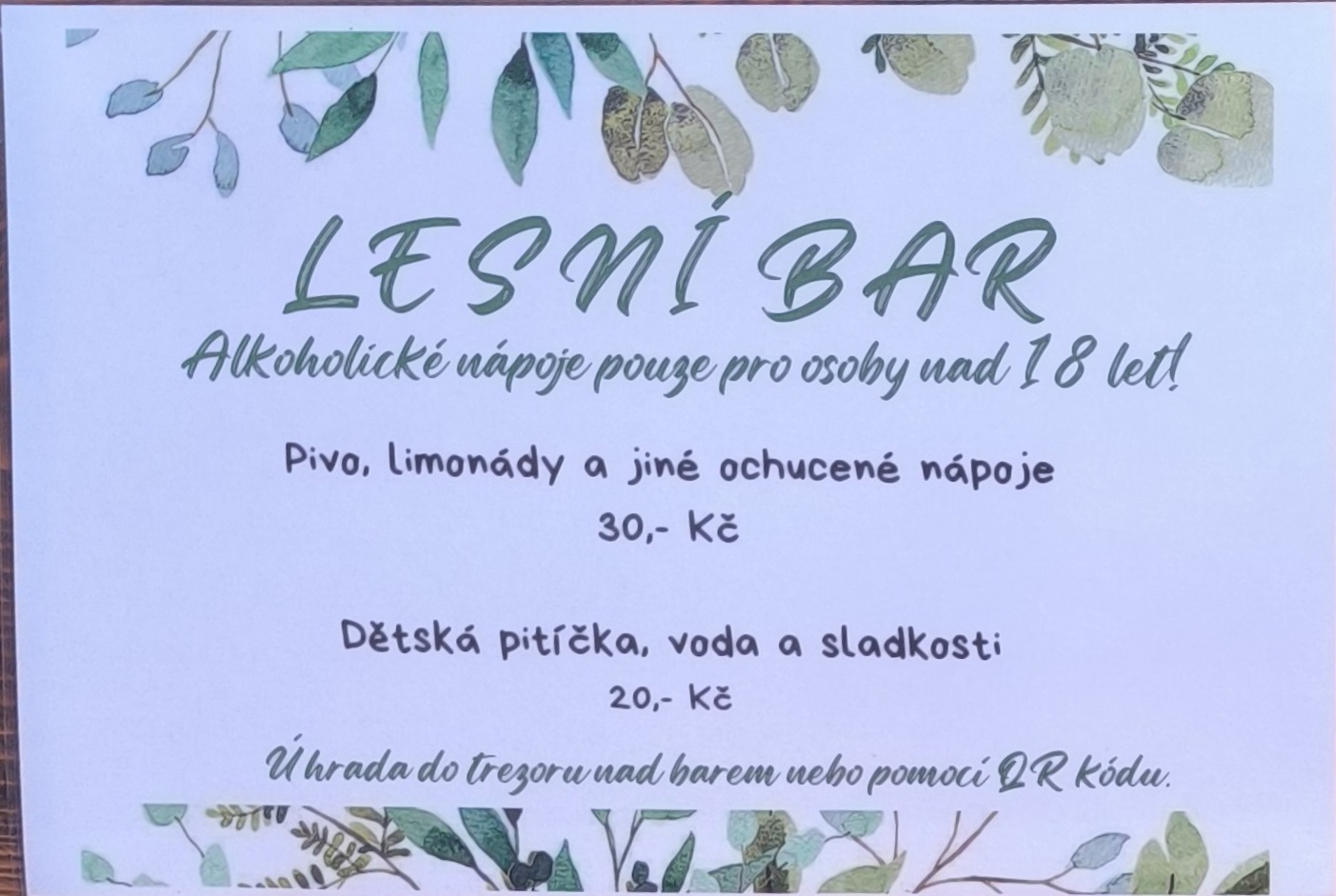 Lesní bar Pod Kratiznou foto 5