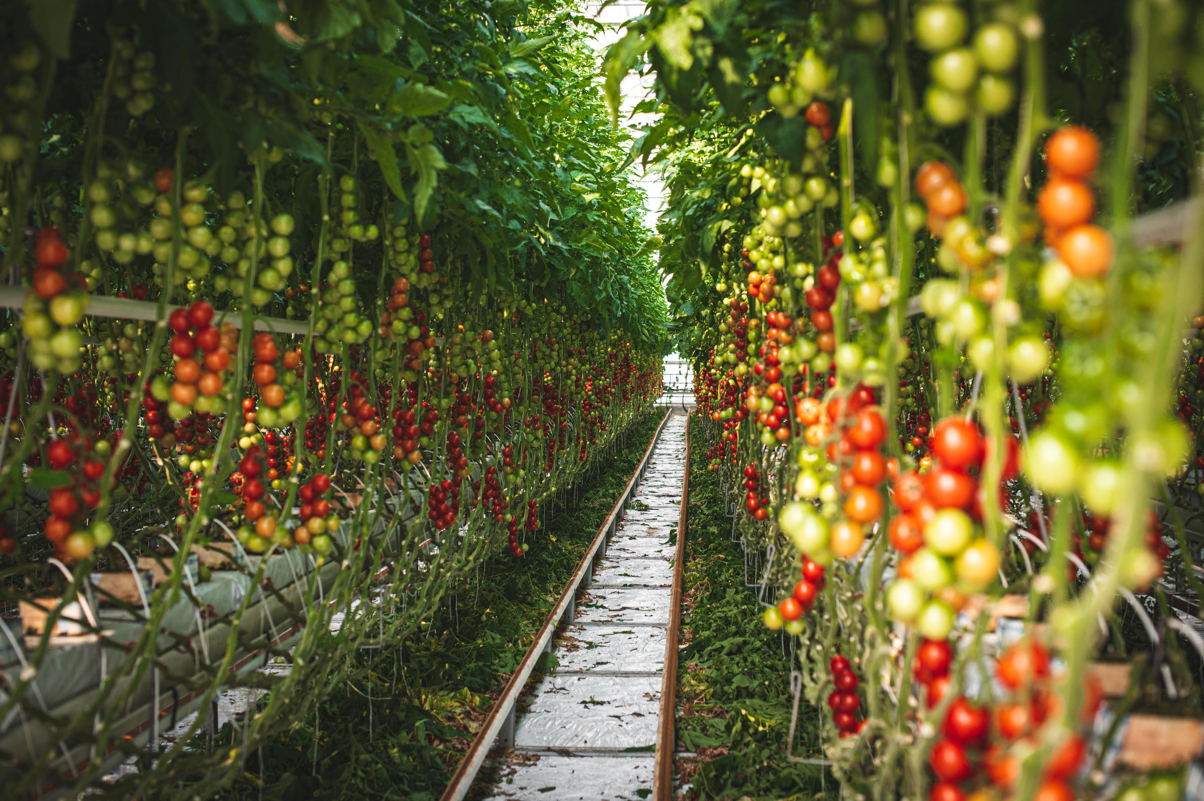 Farma Ráječek - prodejna