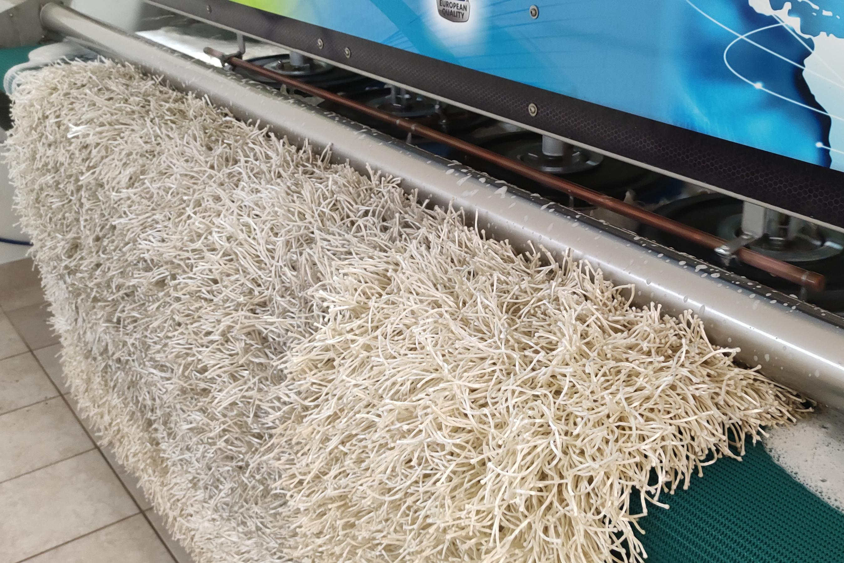 Prádelna koberců Dušková