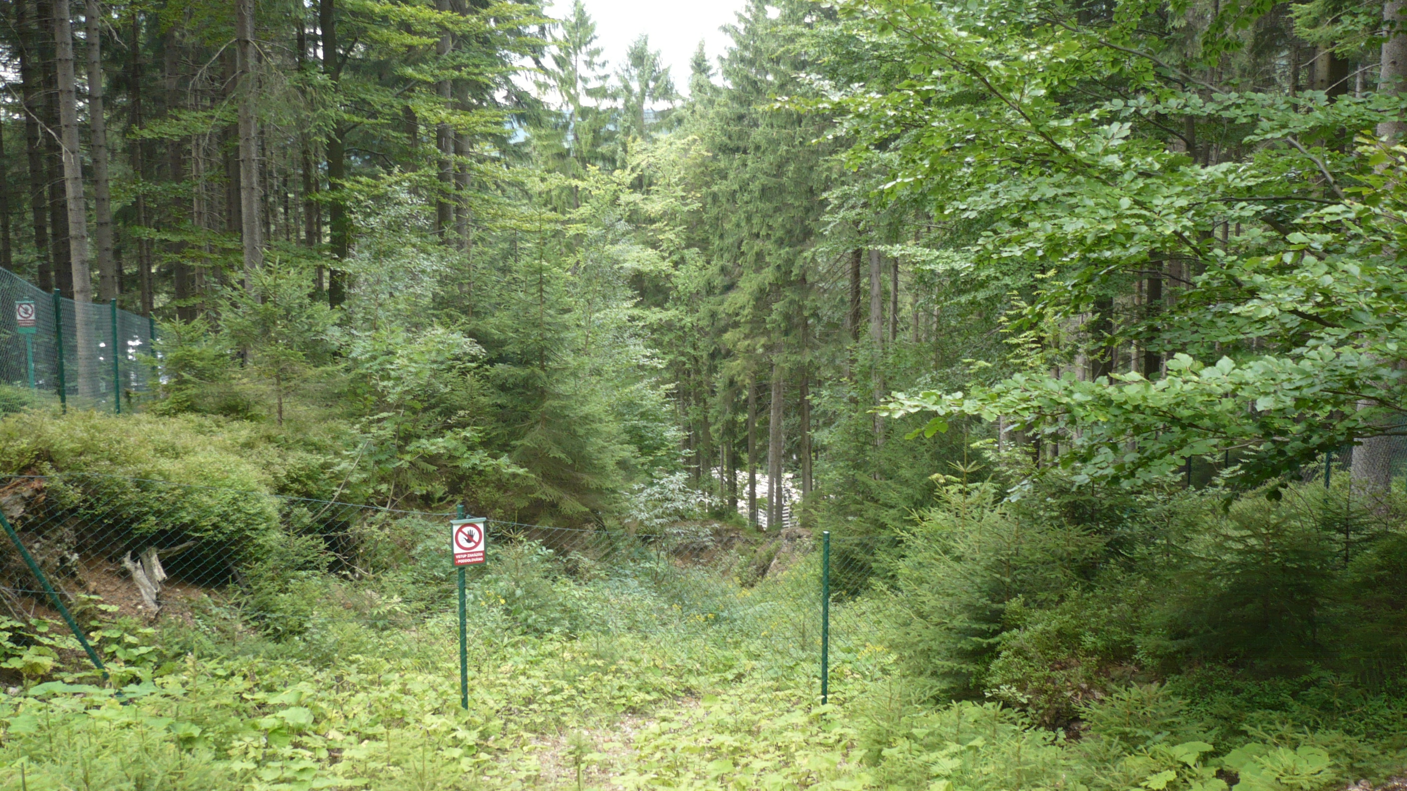 Hornické muzeum Harrachov foto 3