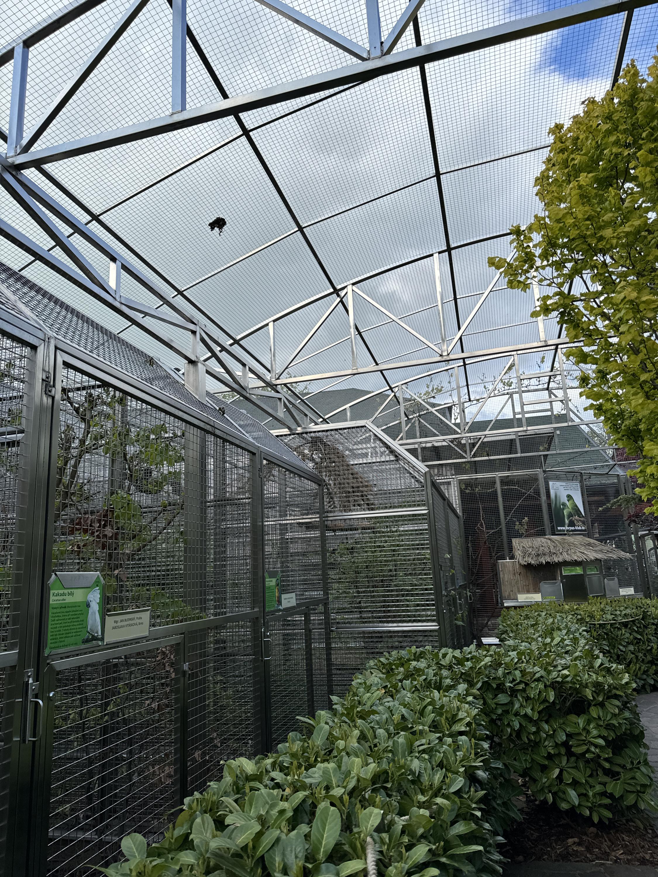 Papoušcí zoologická zahrada foto 5