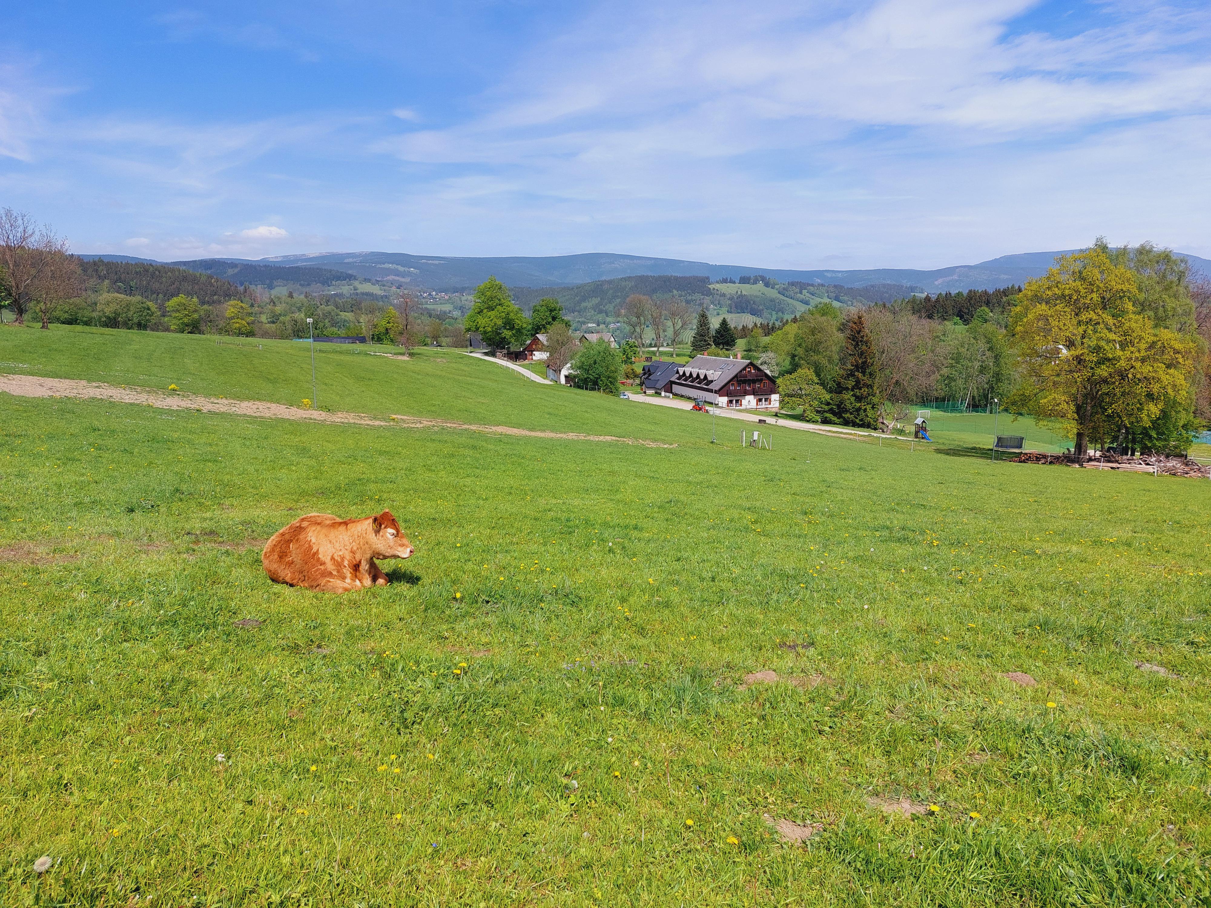 Smejkalova Bouda foto 5