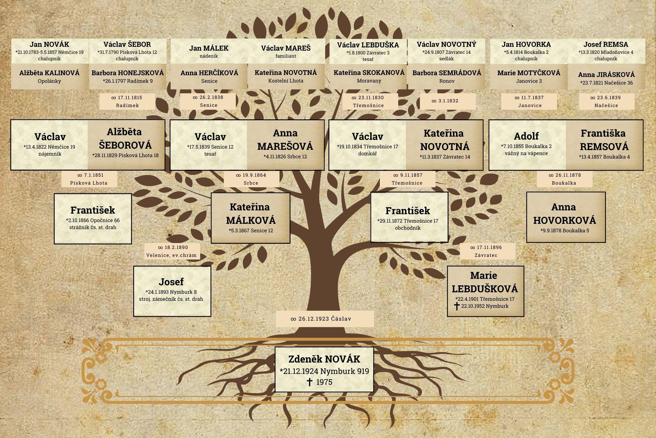 Rodokmeny s vášní - Zdeni Julie Vočadlová