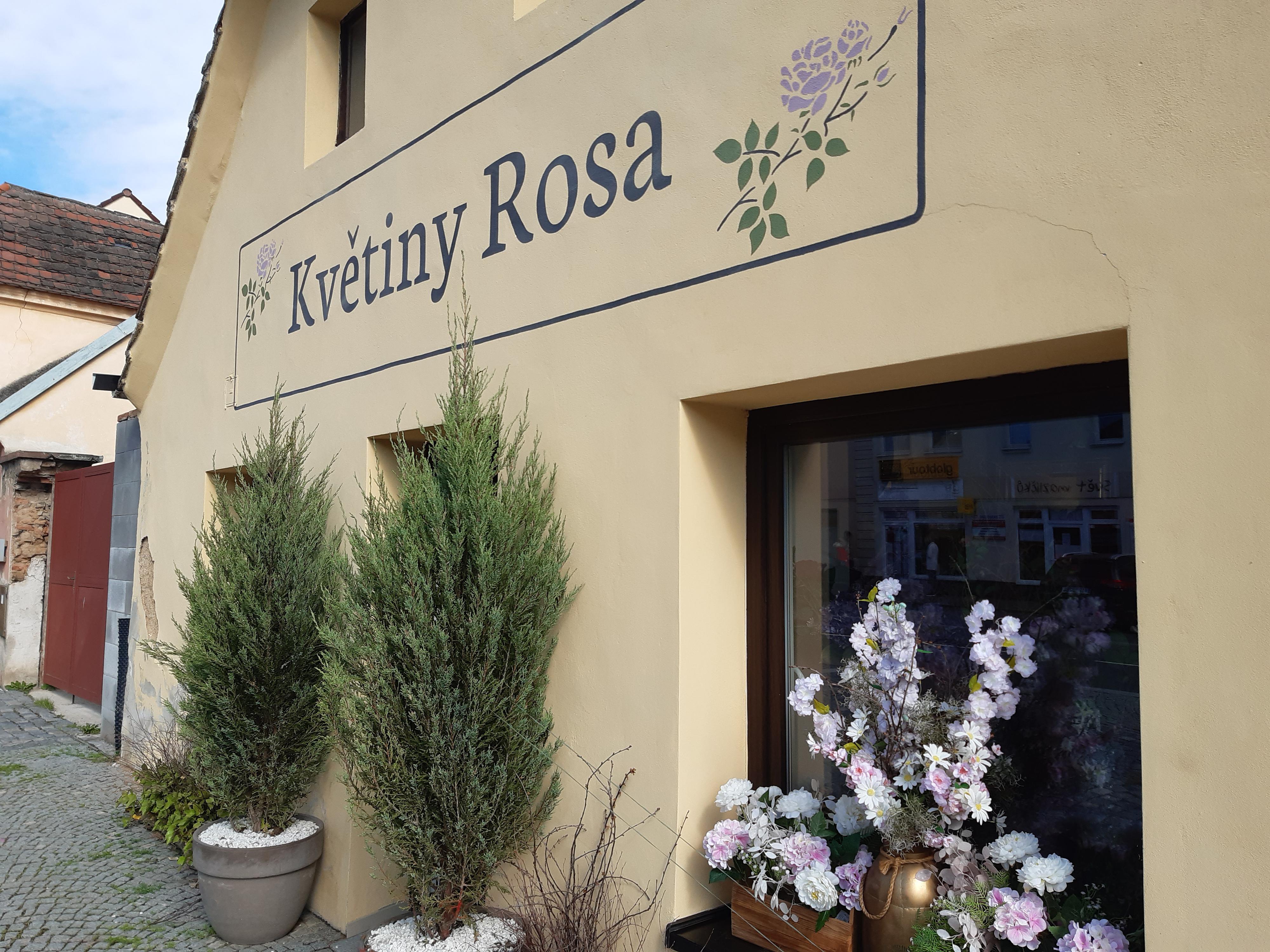 Květiny Rosa foto 2
