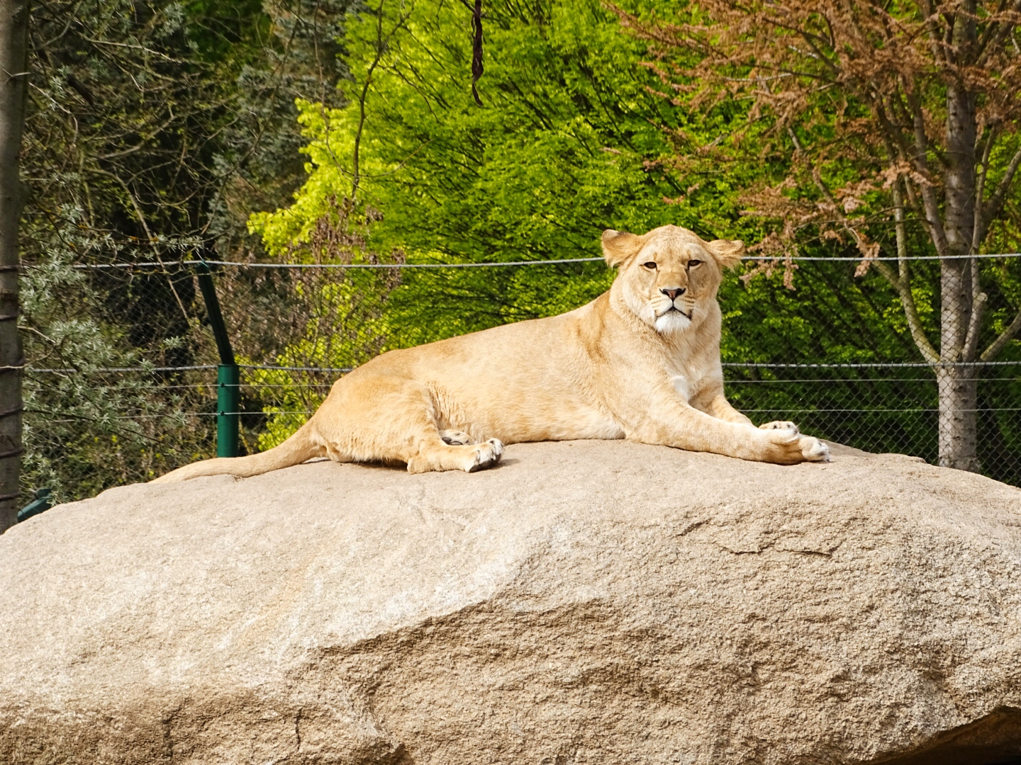 Zoo Plzeň foto 6
