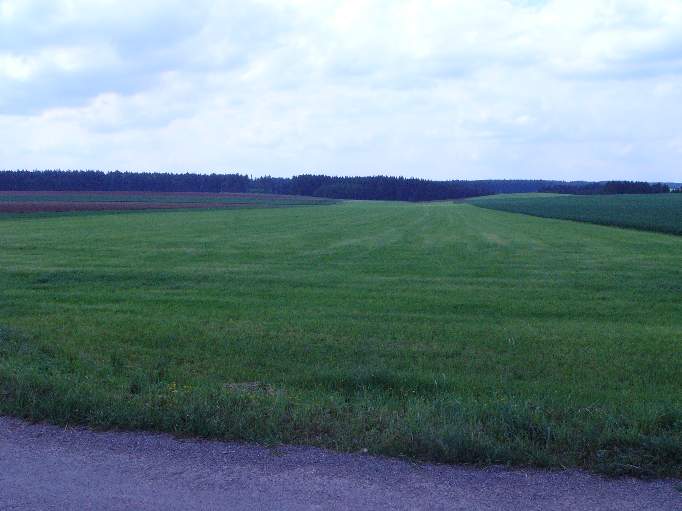 Letiště Sazomín foto 2