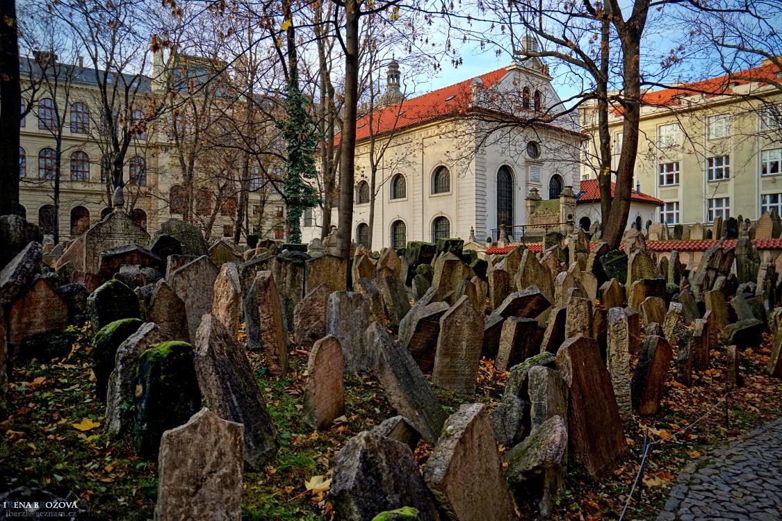 Klausová synagoga