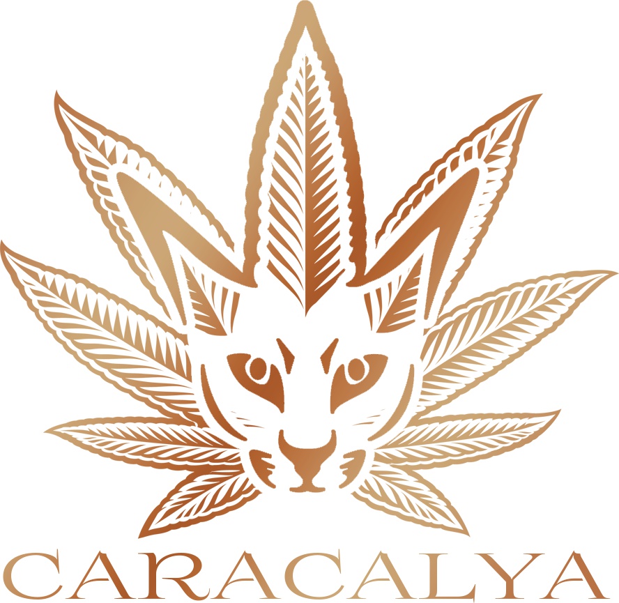 CARACALYA foto 3
