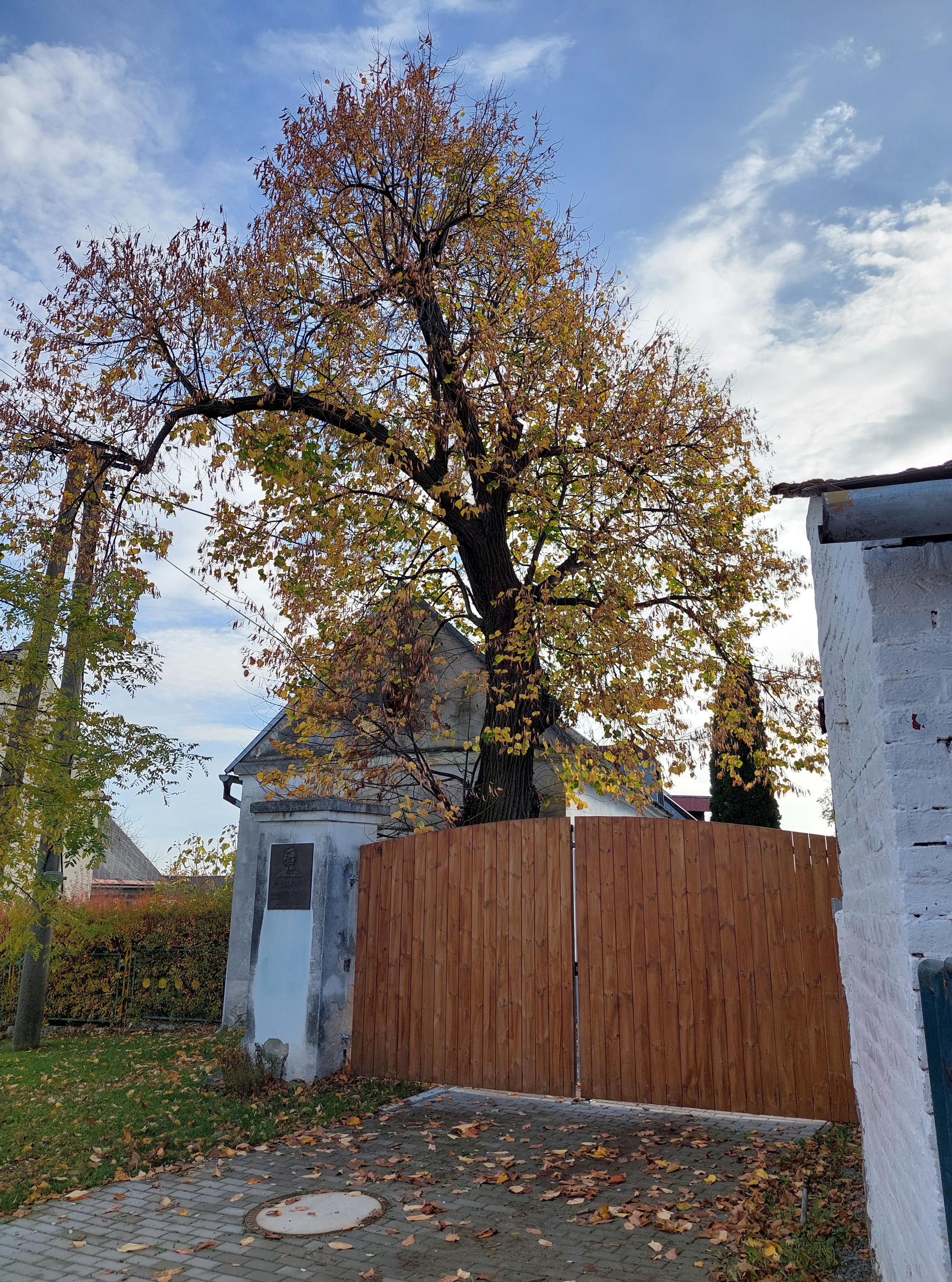 Rodný dům Hanse Kudlicha foto 3