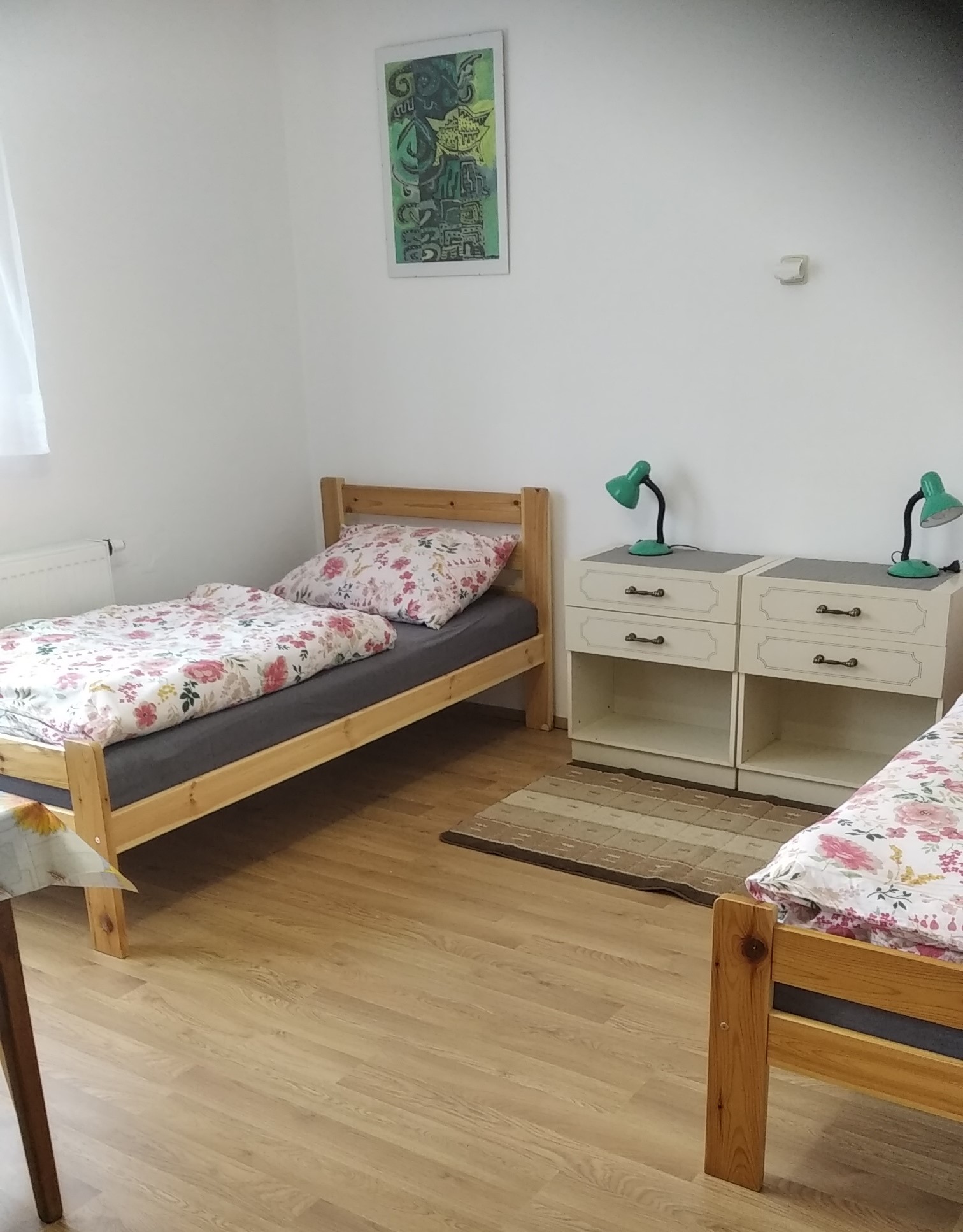 Vila Eliška - ubytování v soukromí foto 3
