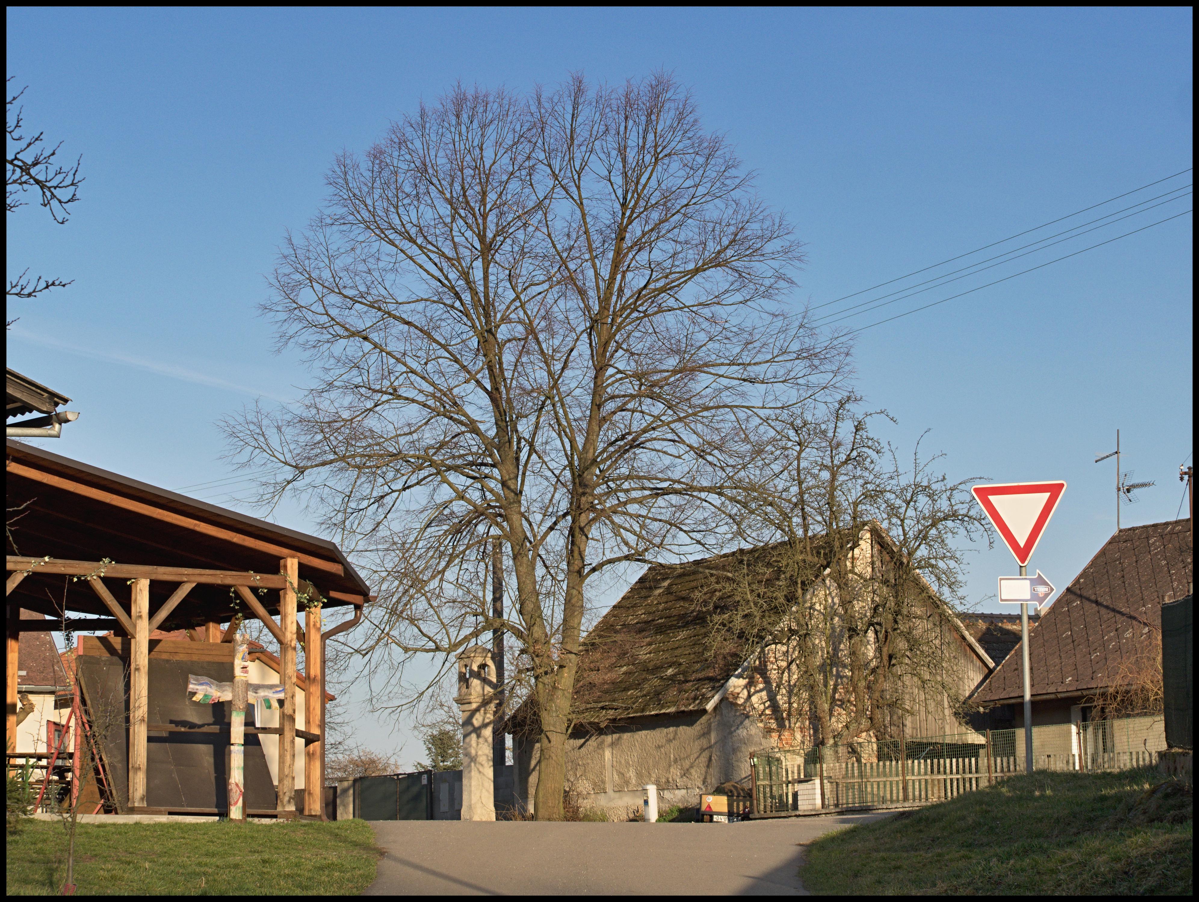 SH ČMS - Sbor dobrovolných hasičů Zbořený Kostelec foto 3