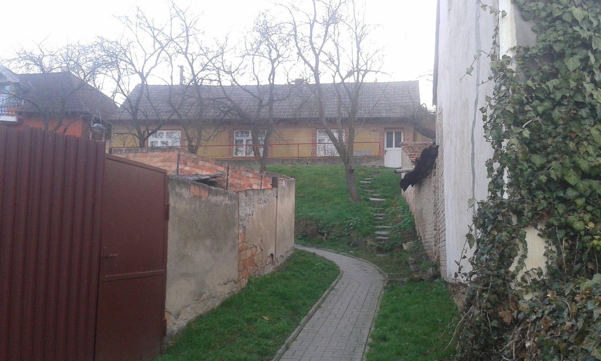 Michal Komárek