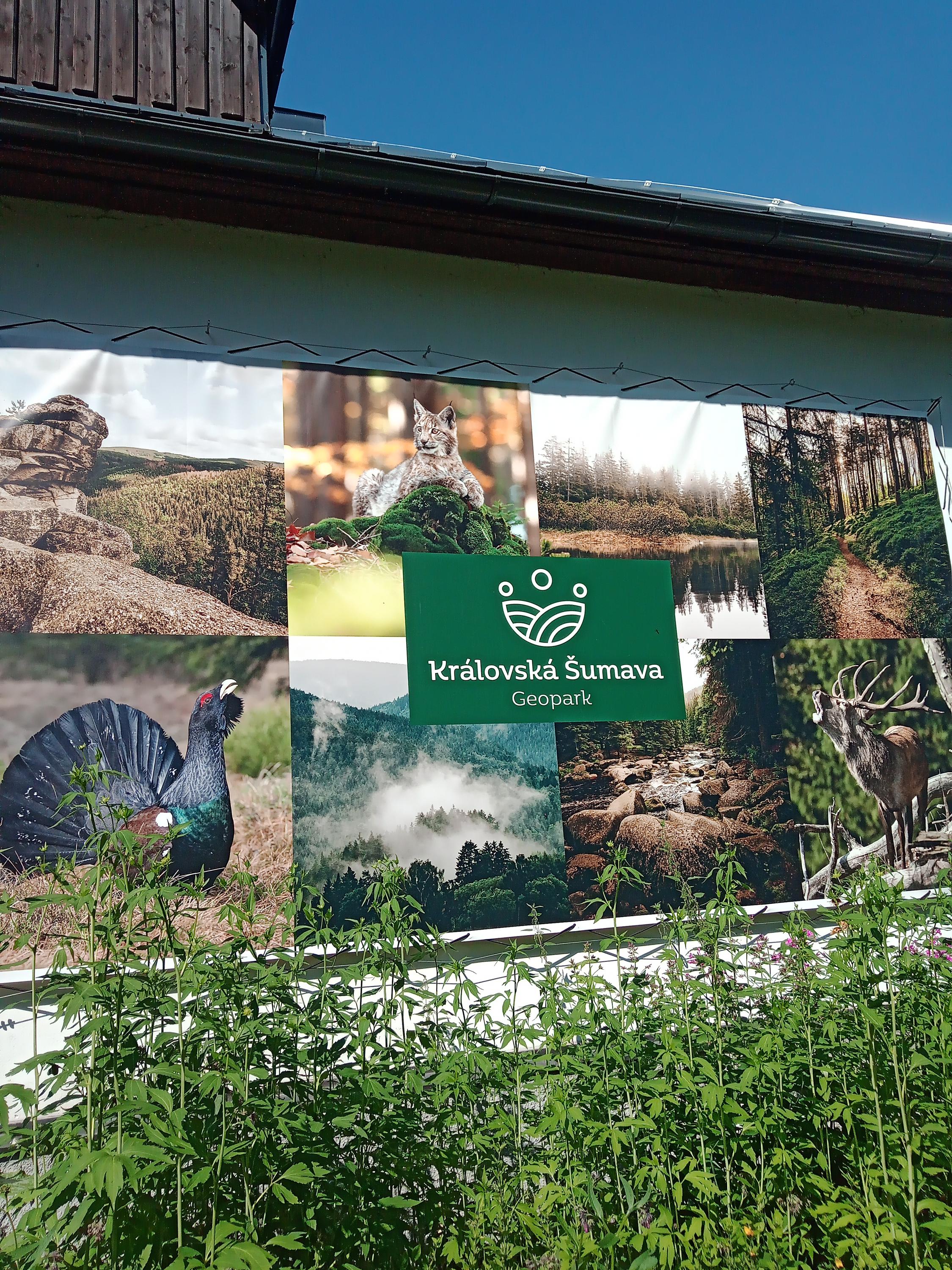 Ubytování Rokyta foto 3