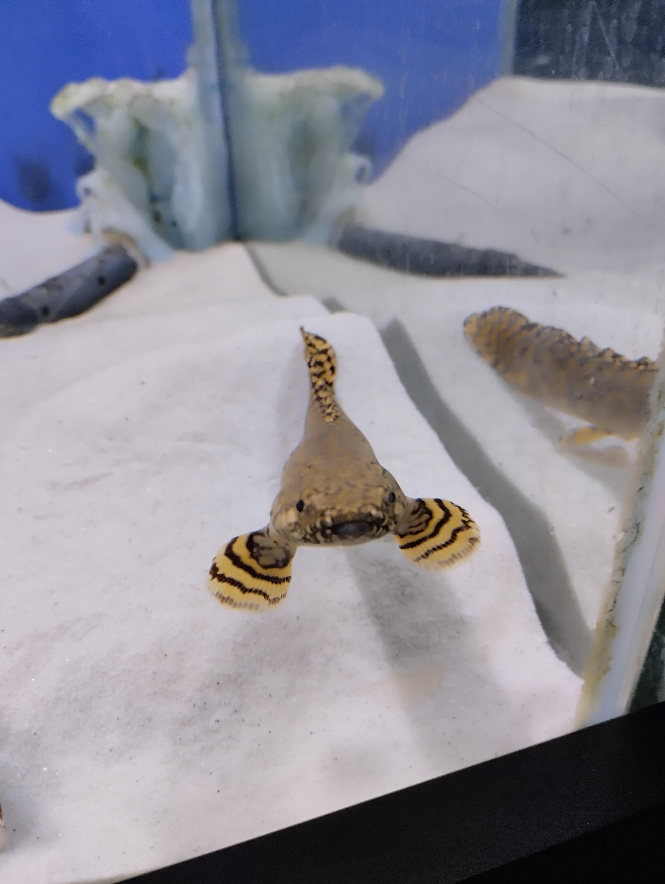 Svět pod hladinou foto 3