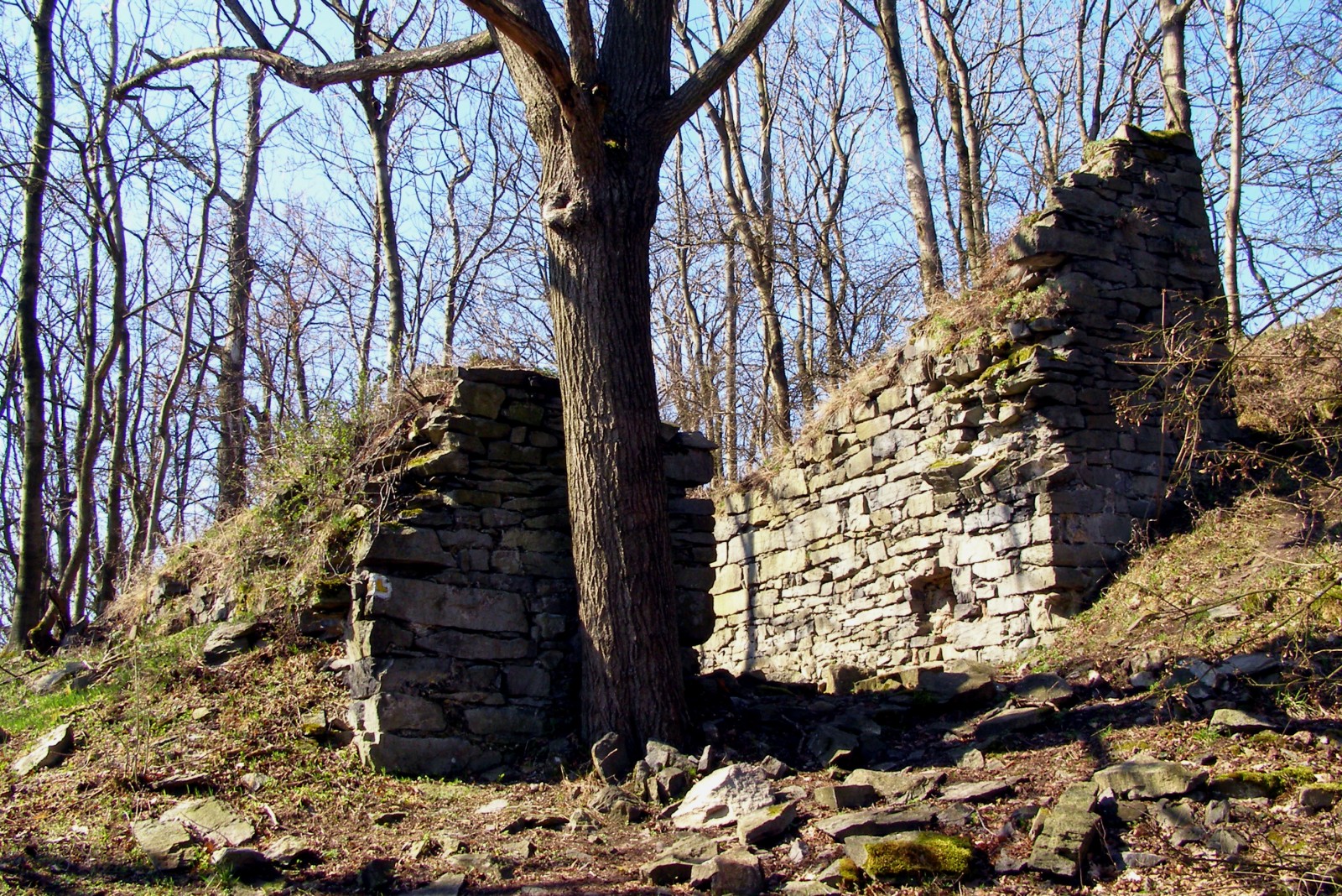 Zřícenina hradu Kalich foto 4