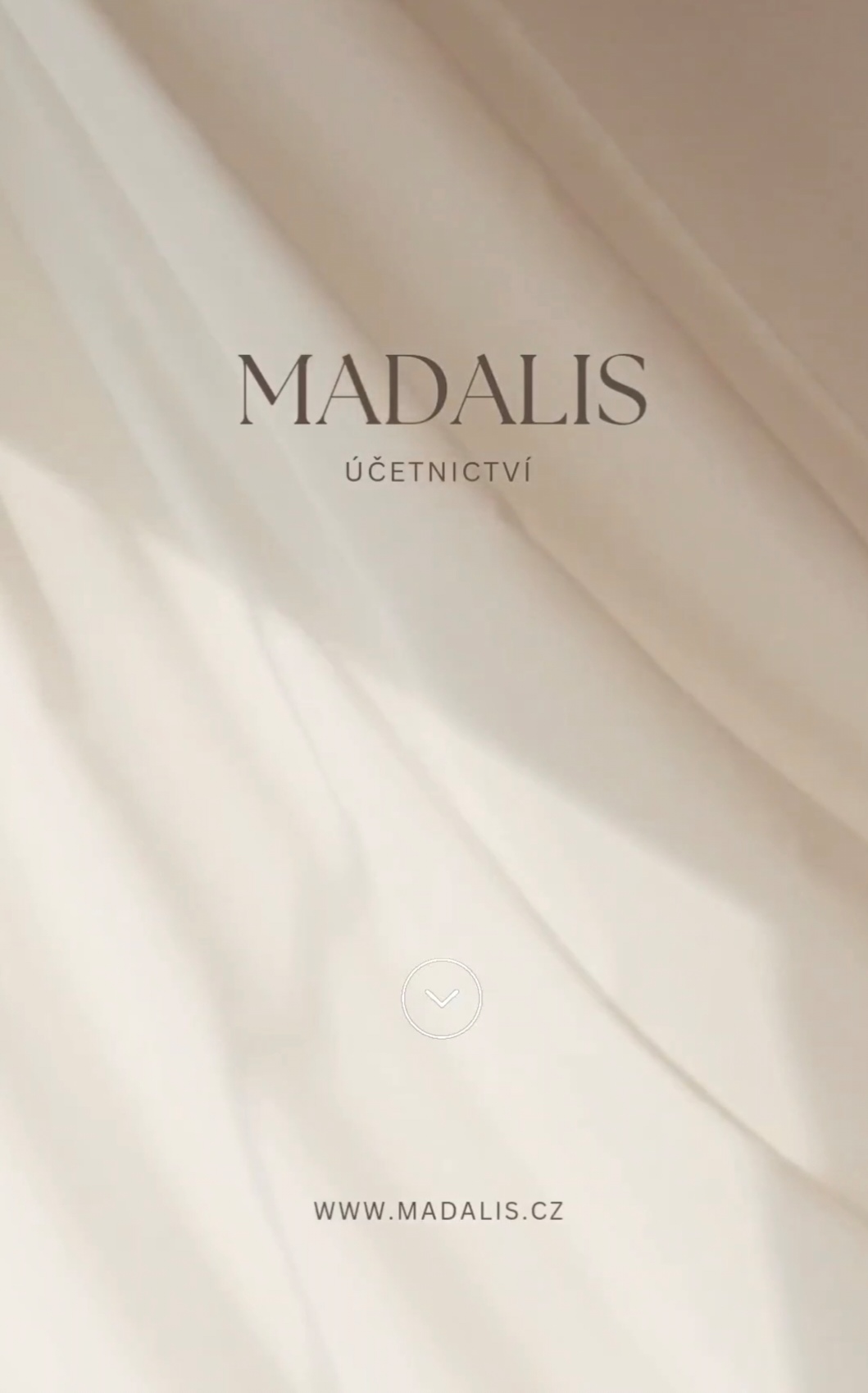 MADALIS účetnictví foto 2