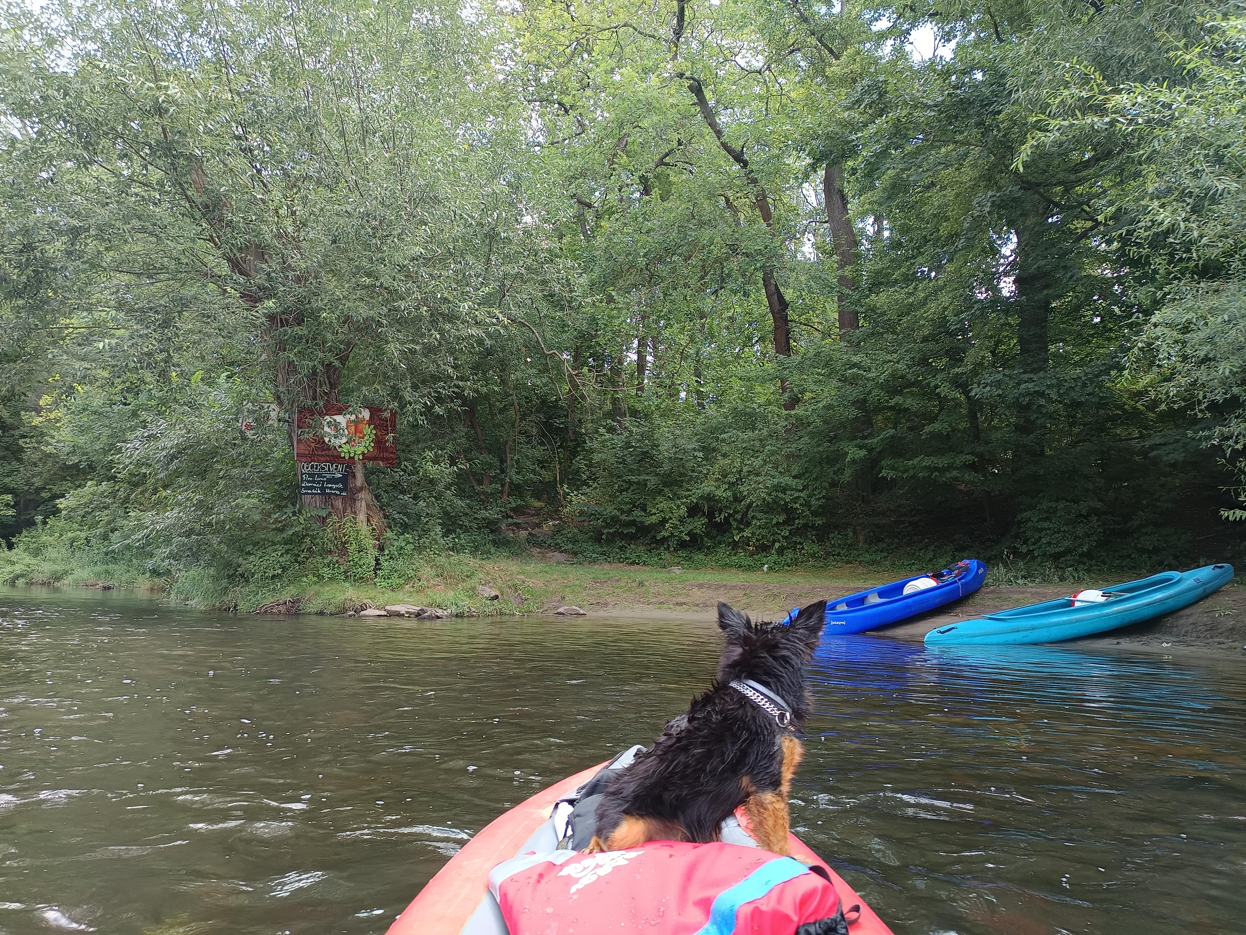 Grand hotel pub Hans foto 3