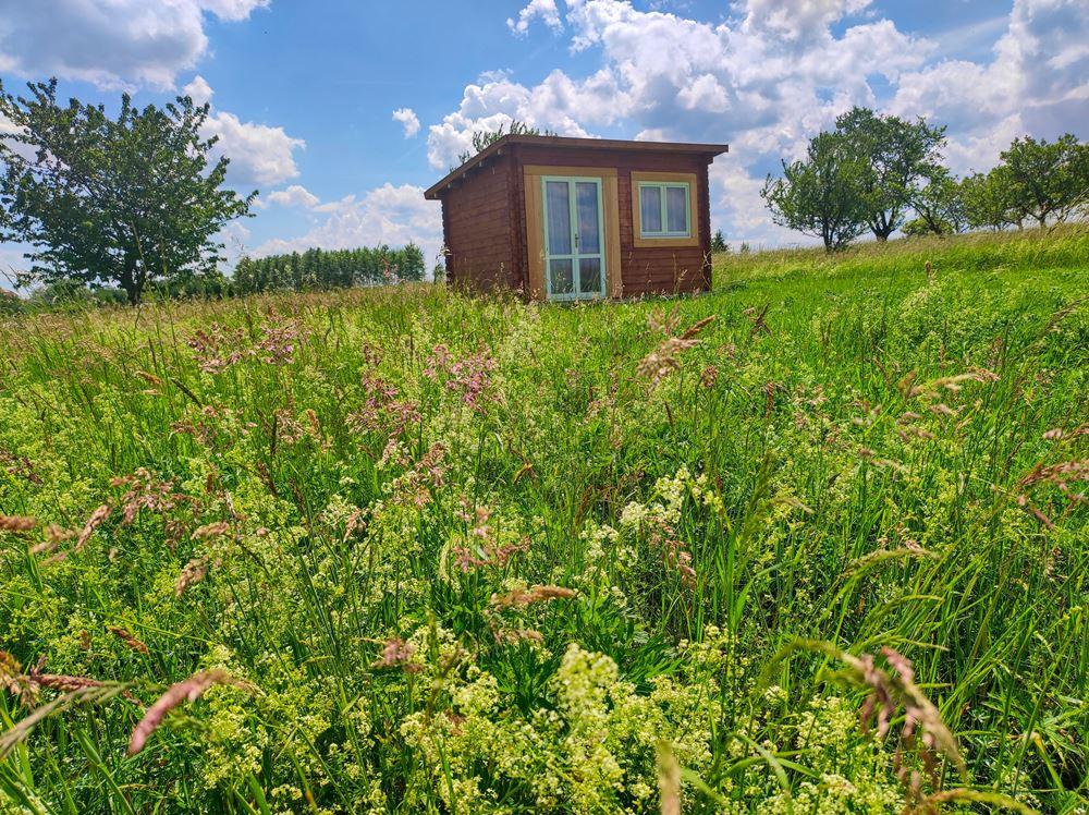 Chaloupka v kopretinách